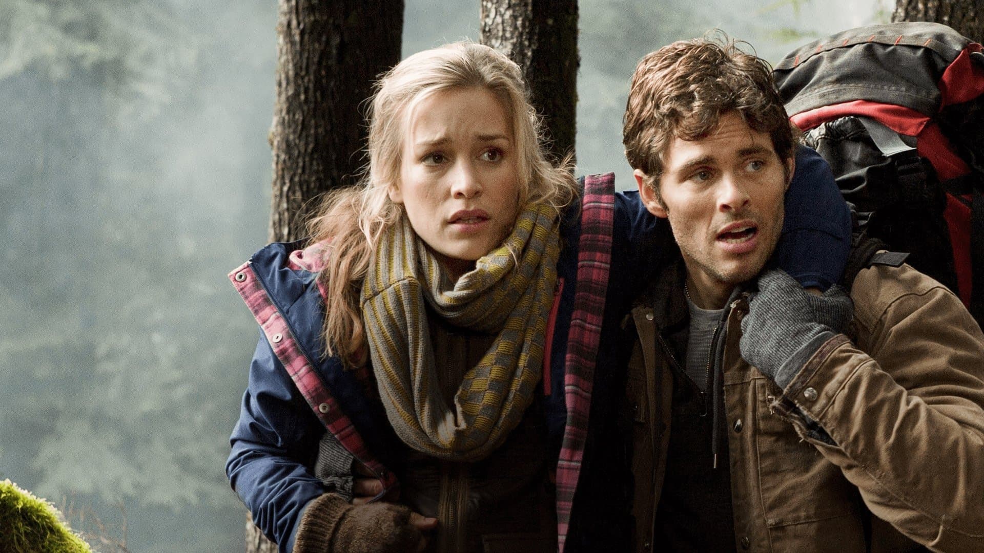 메이즈 헌터: 살인곰의 습격