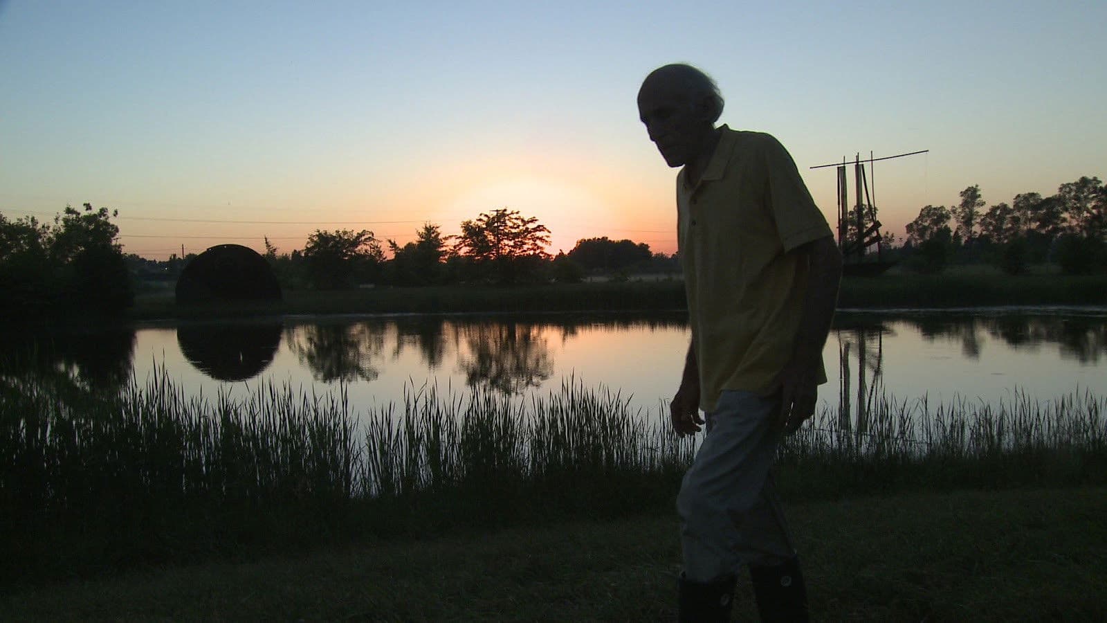 La mirada del colibrí