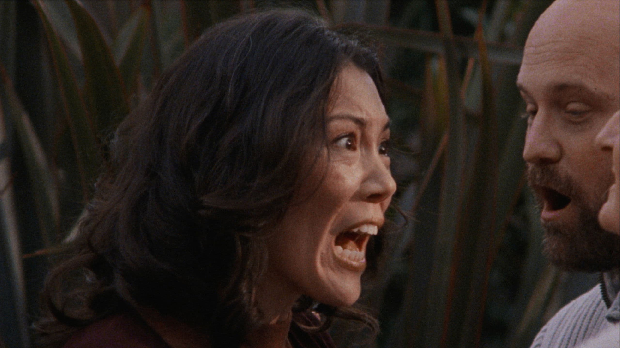 당신이 자는 동안