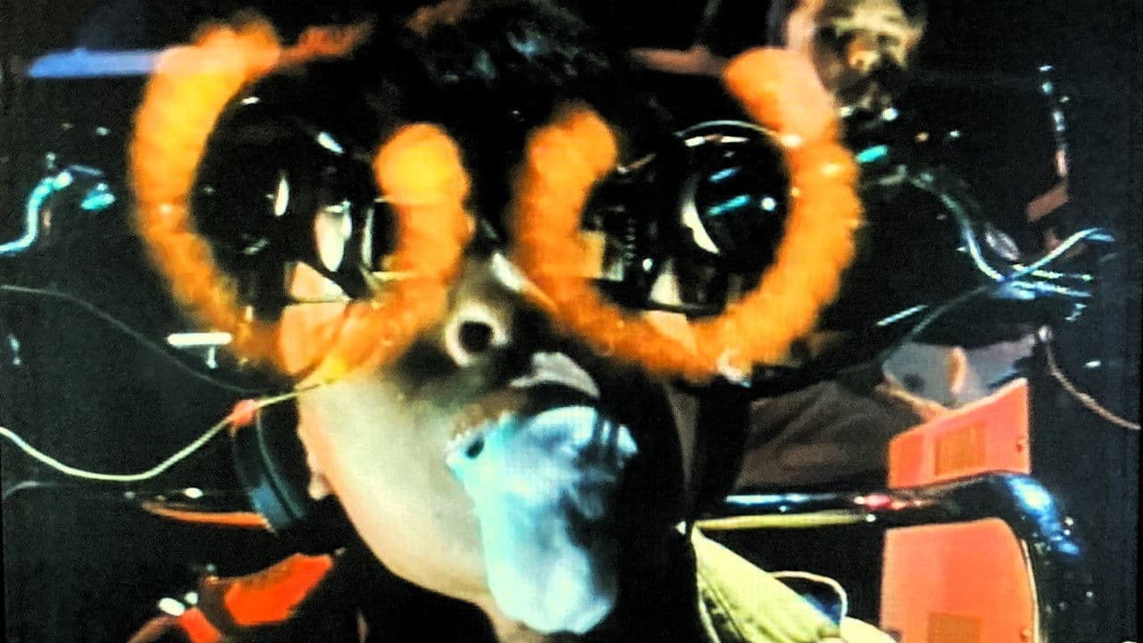 だいじょうぶマイフレンド