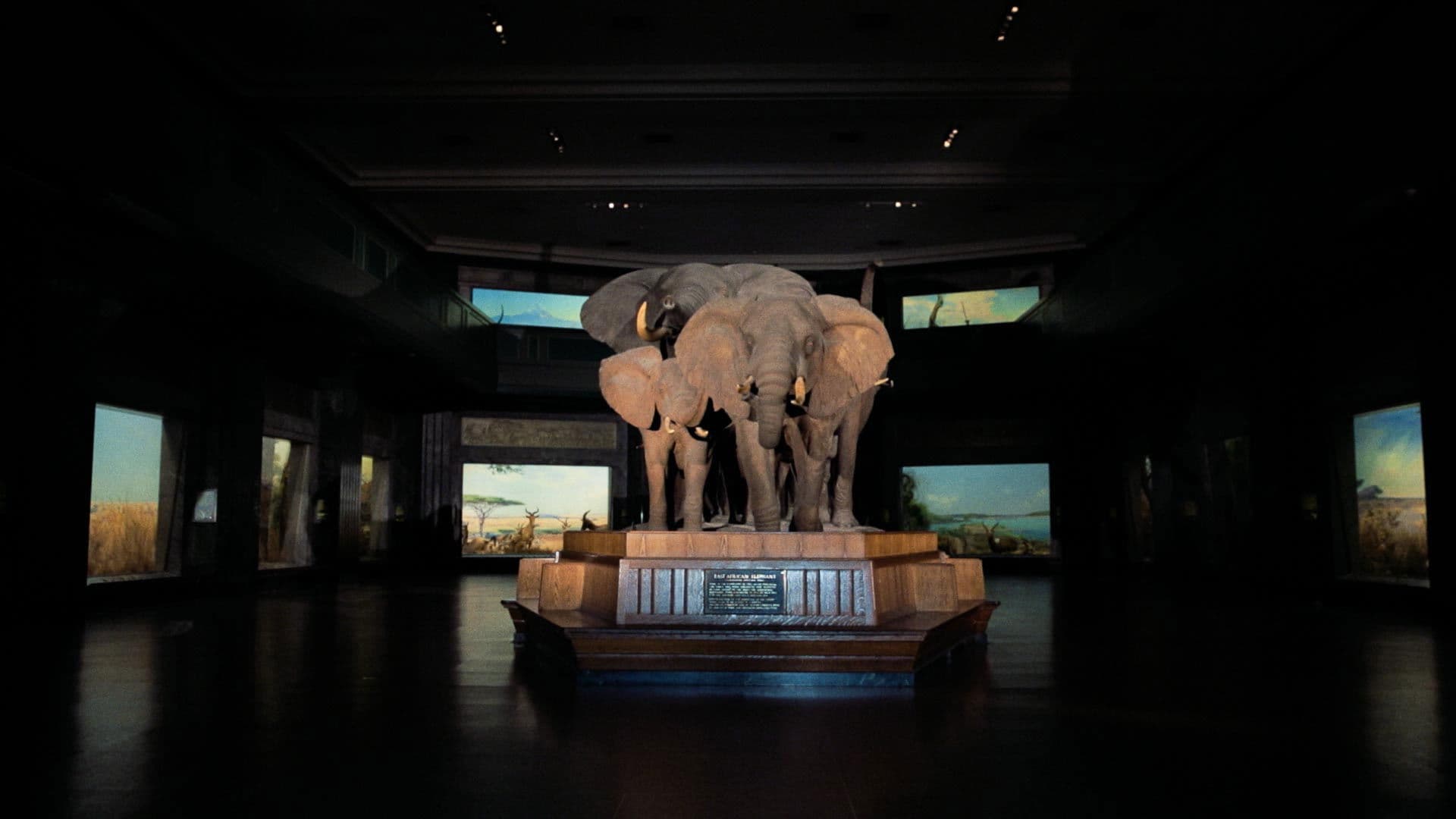 호기심과 통제의 박물관