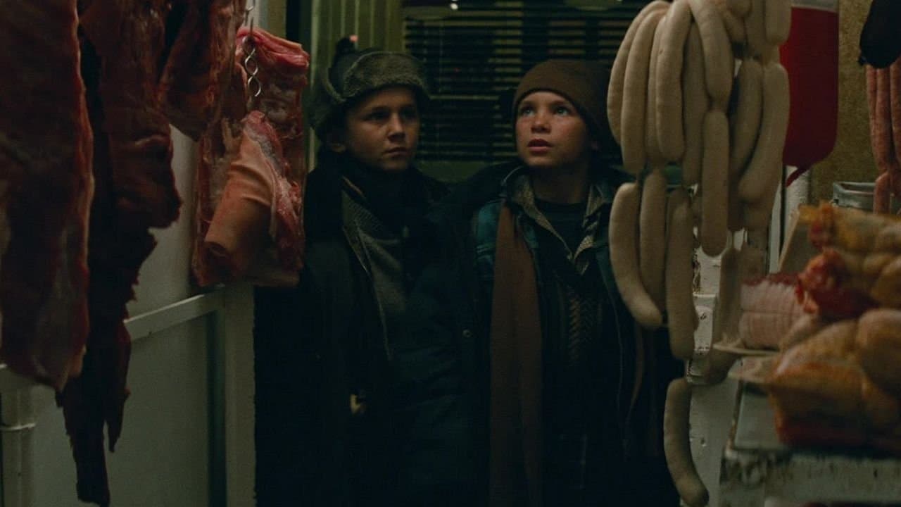 더 선 오브 더 샤크