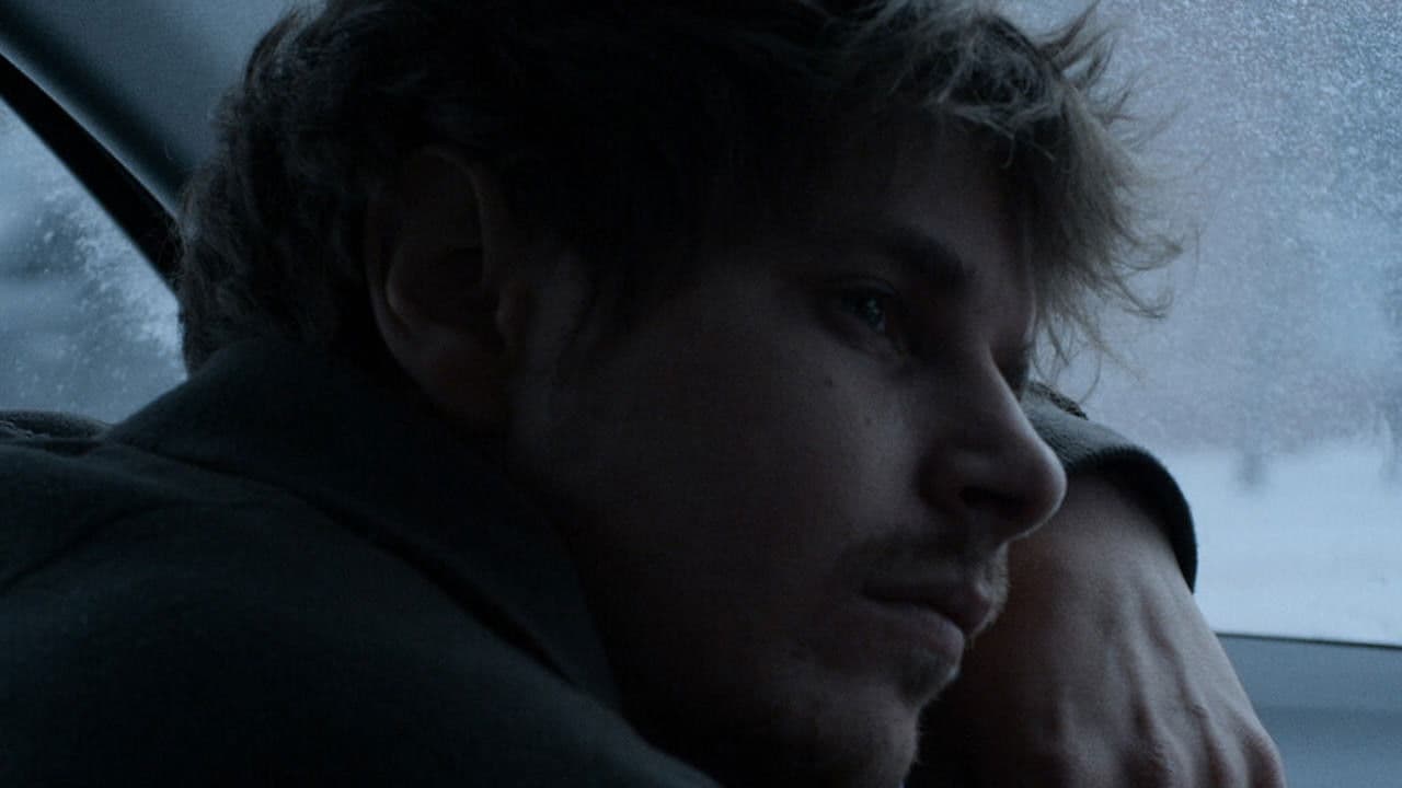 러브 인 더 타임 오브 시빌 워