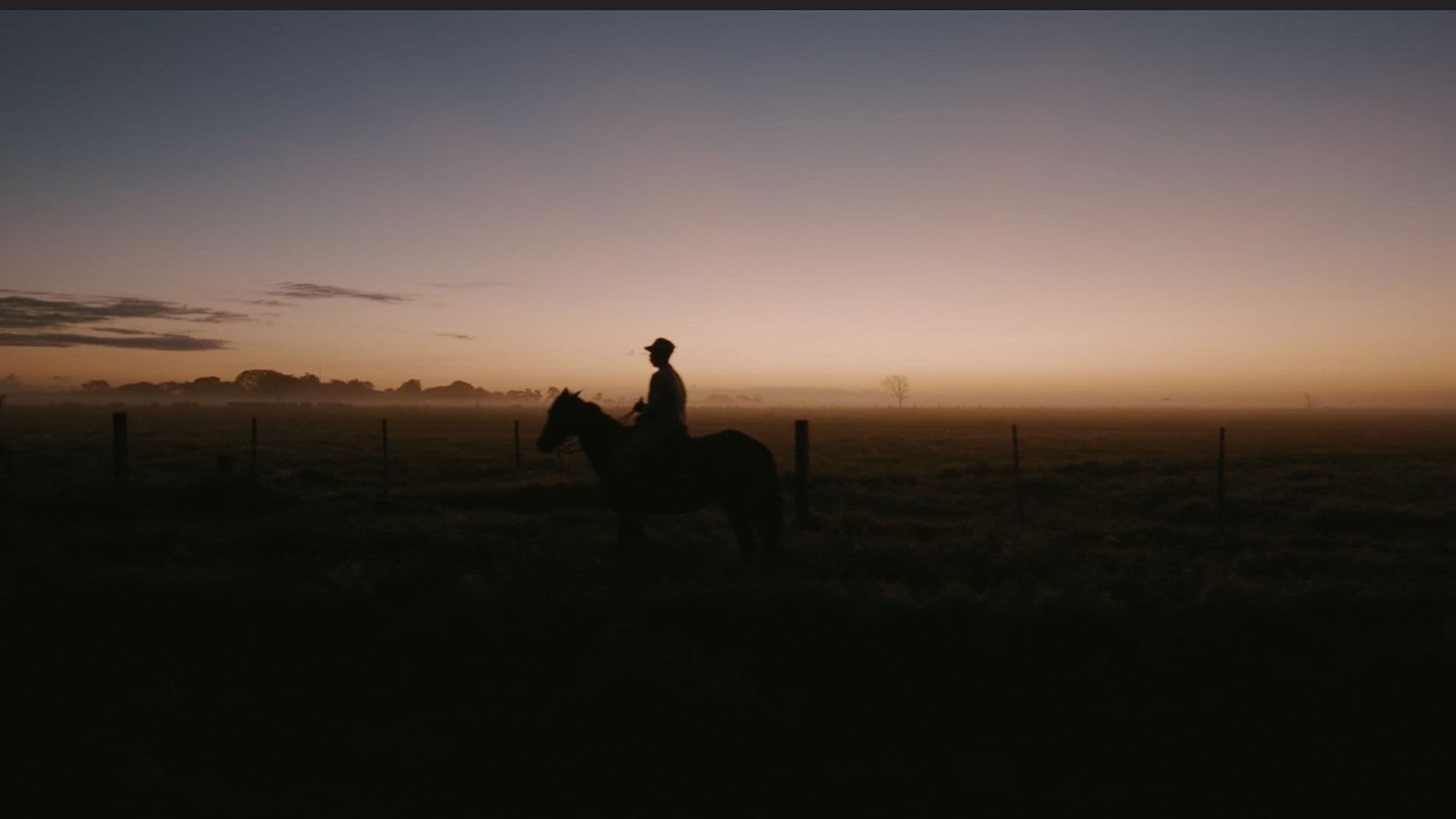 베네수엘라의 24시