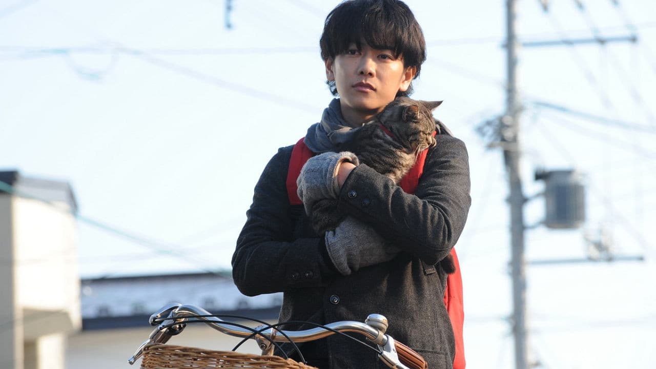 세상에서 고양이가 사라진다면