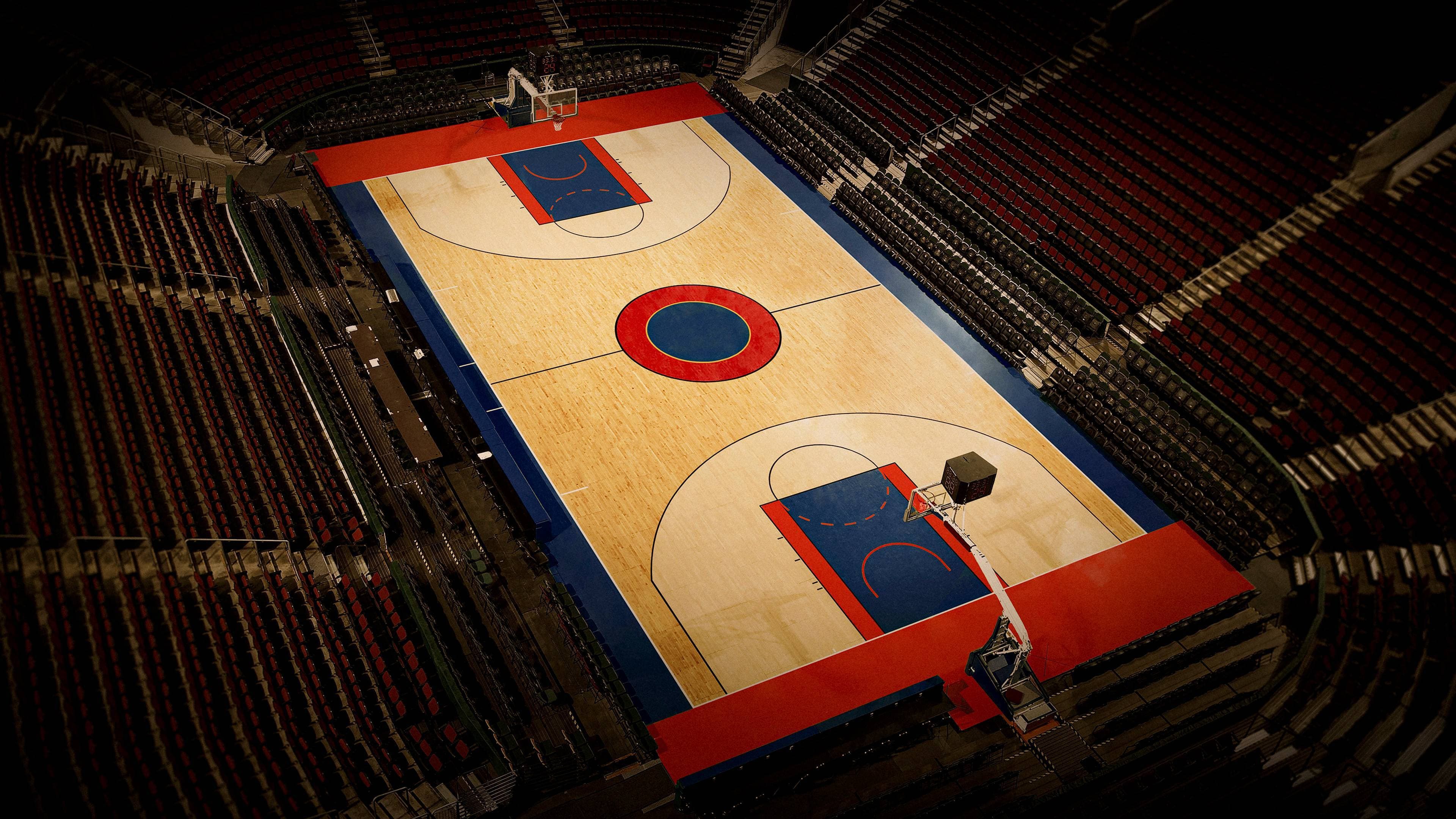 더 데이 스포츠 스투드 스틸