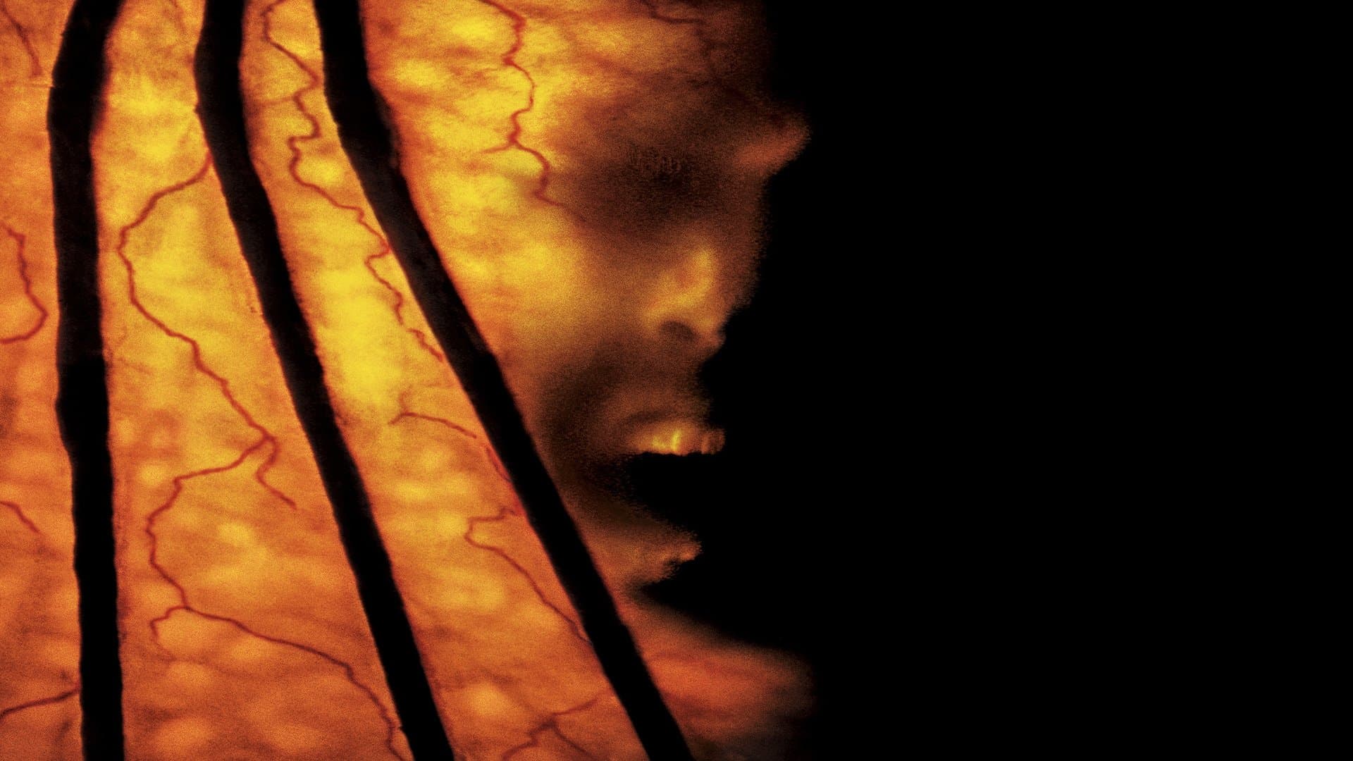 지퍼스 크리퍼스 2