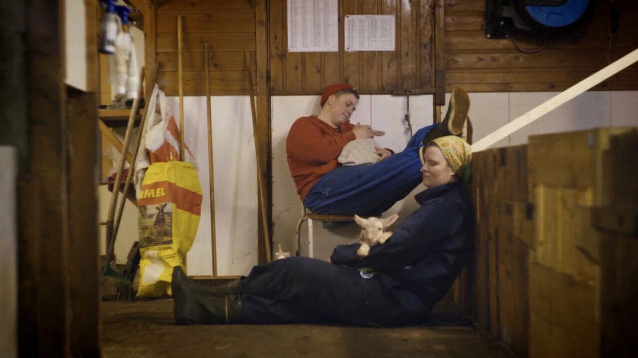 울리: 작은 농장 이야기