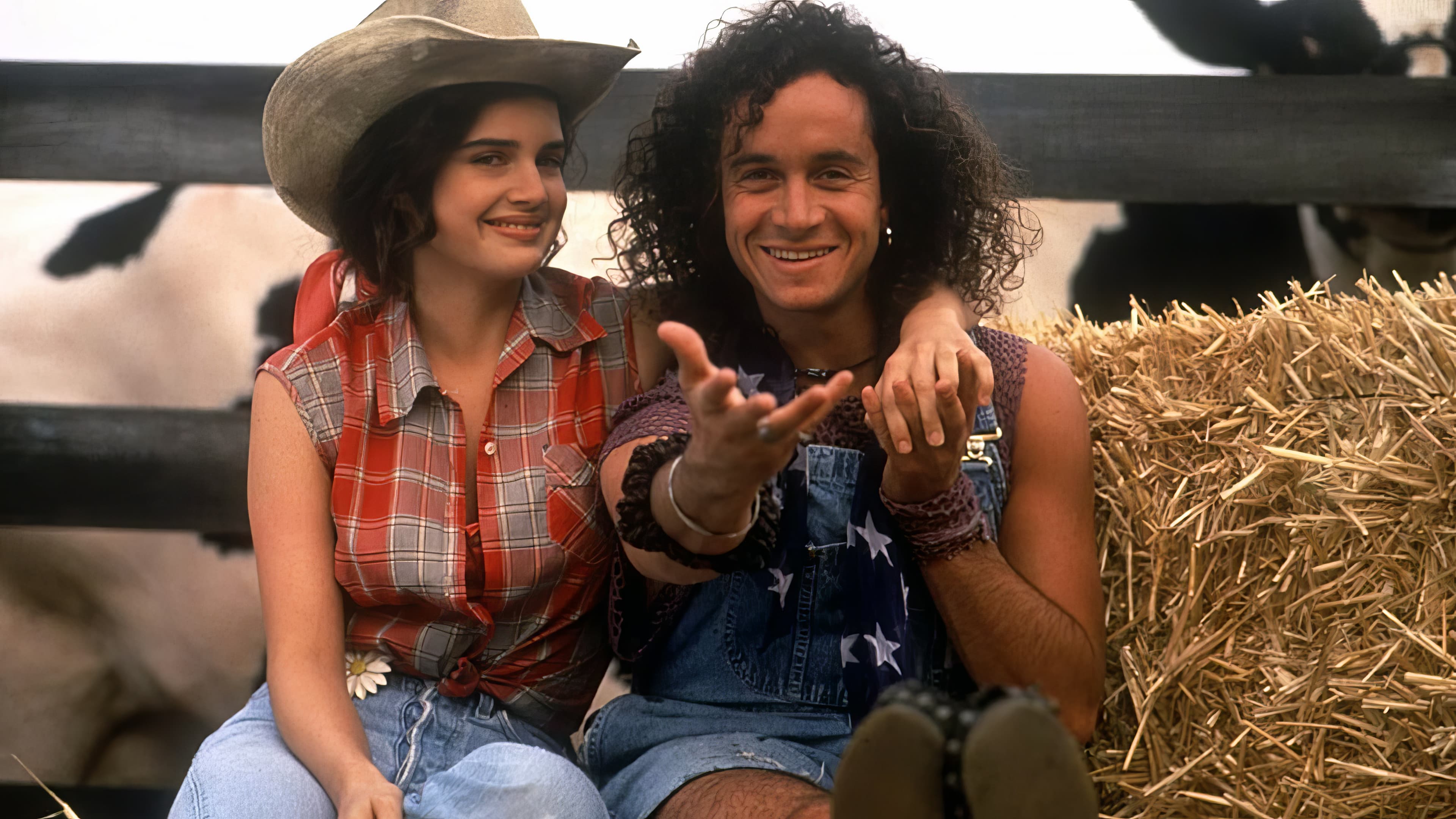 못 말리는 사위