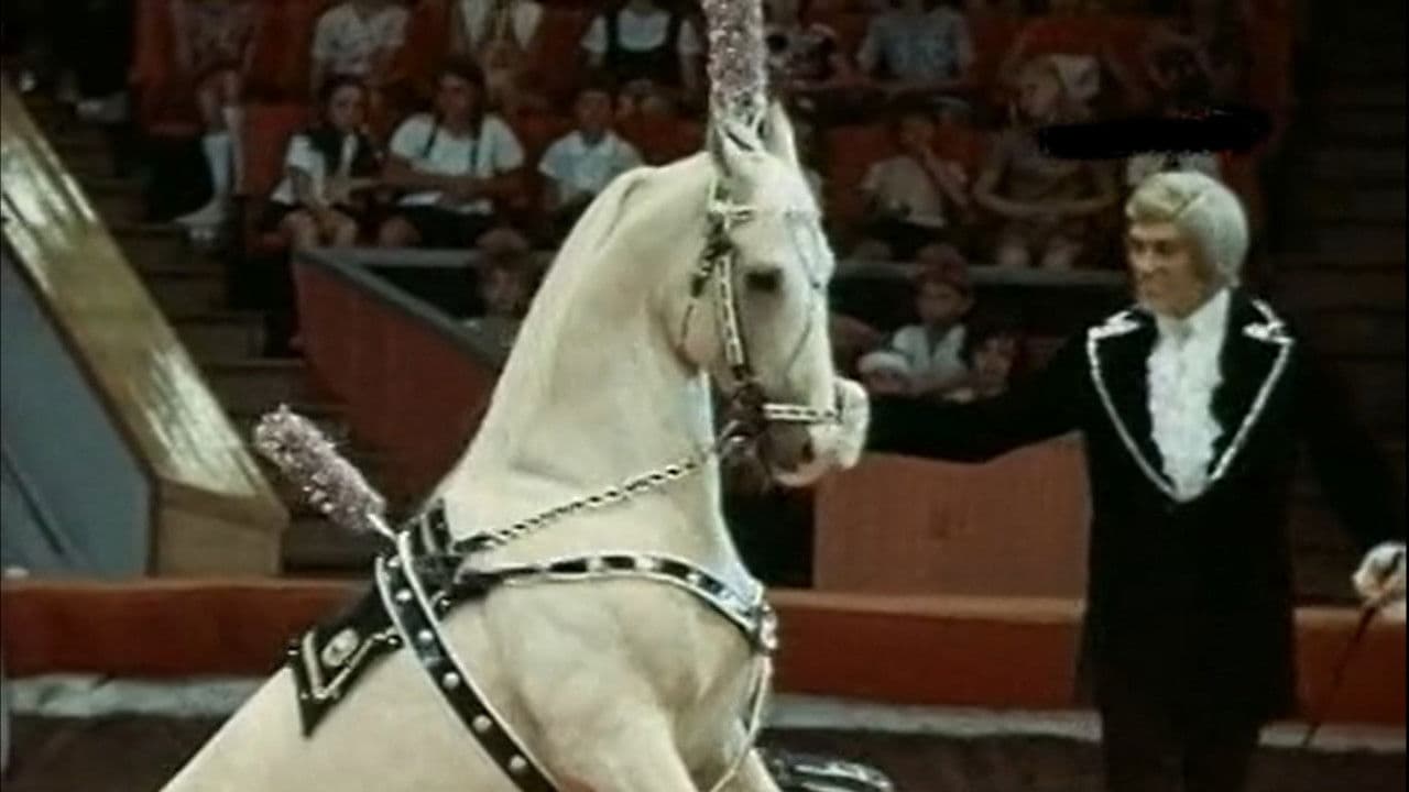 Дрессировщики