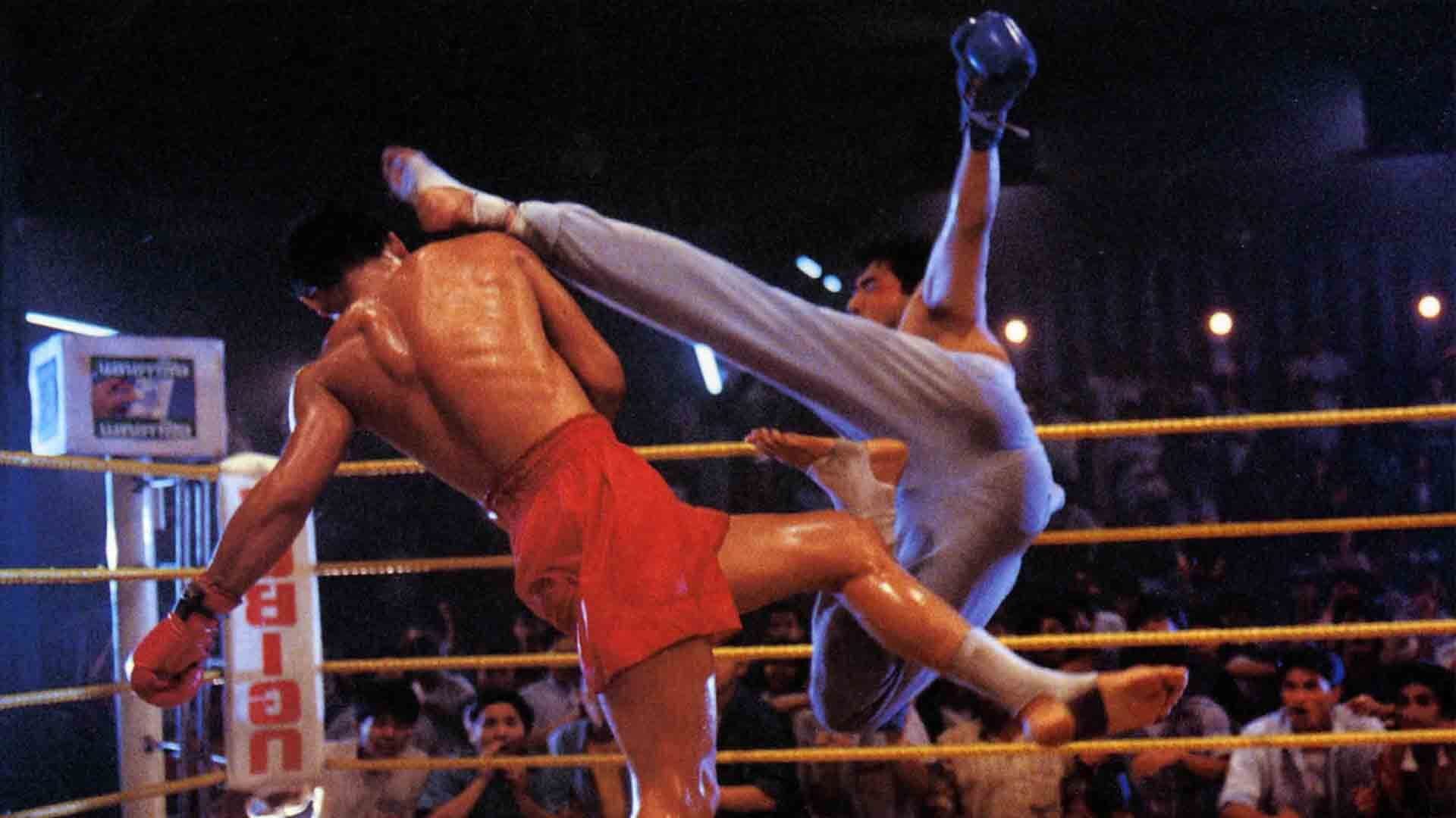 천사행동 3: 마녀말일