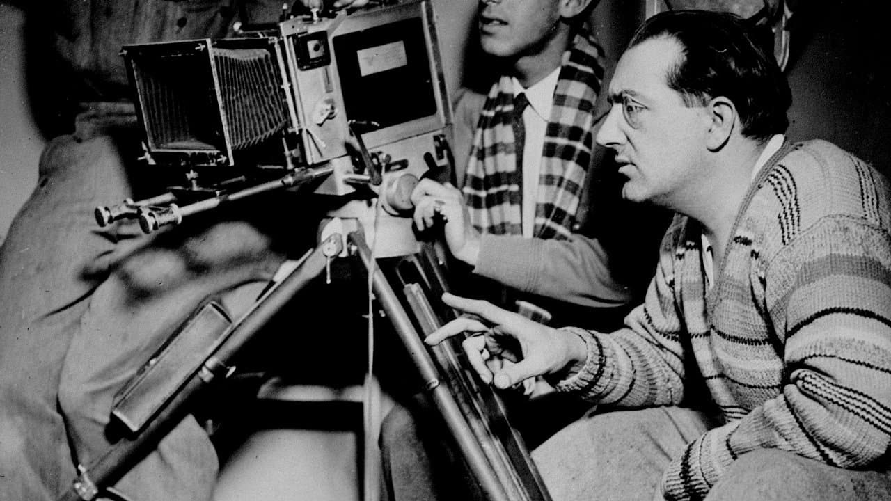 칼리가리에서 히틀러까지