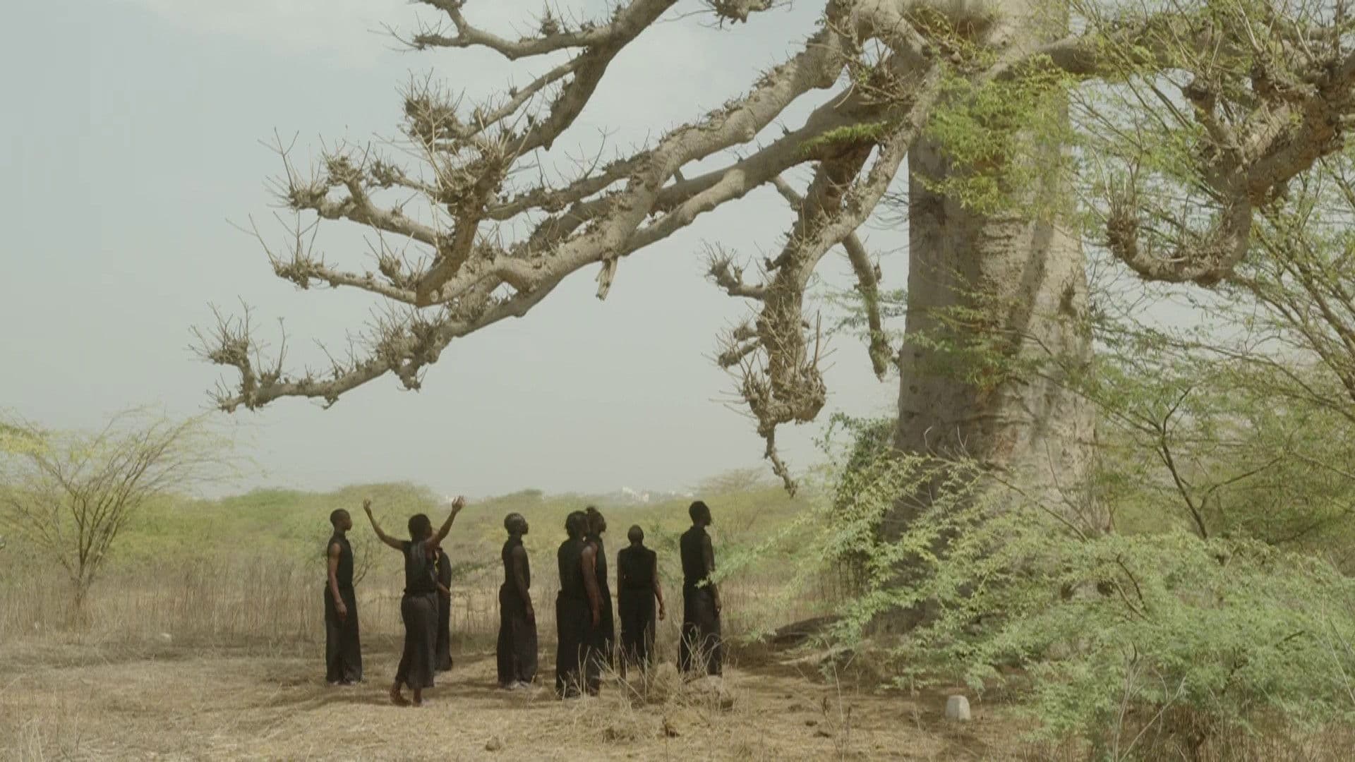 Germaine Acogny - Die Essenz des Tanzes