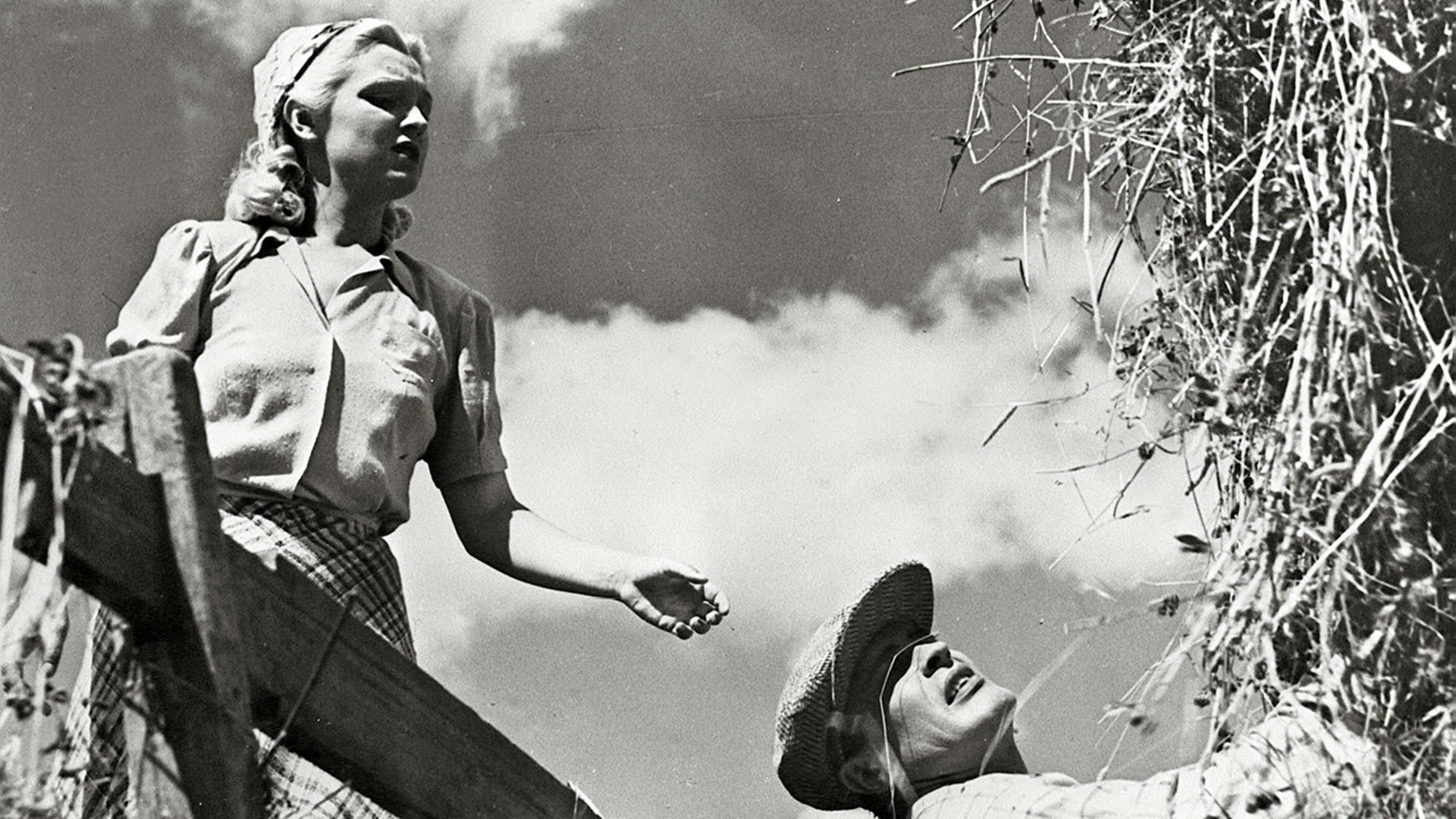 Oi, kallis Suomenmaa