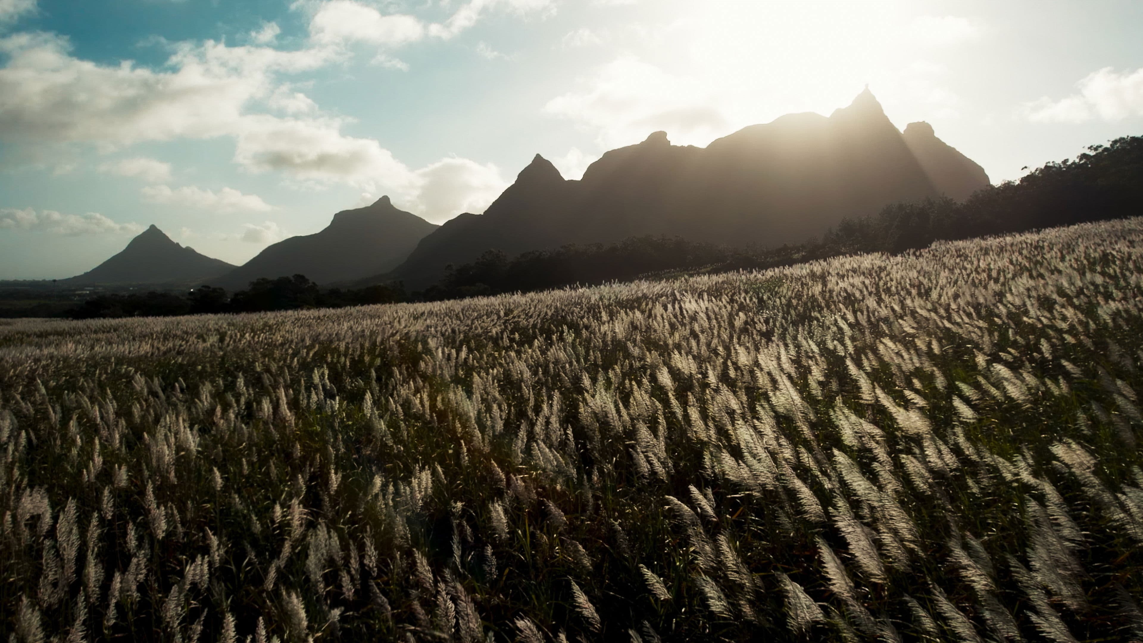 L’Offrande d’une vie