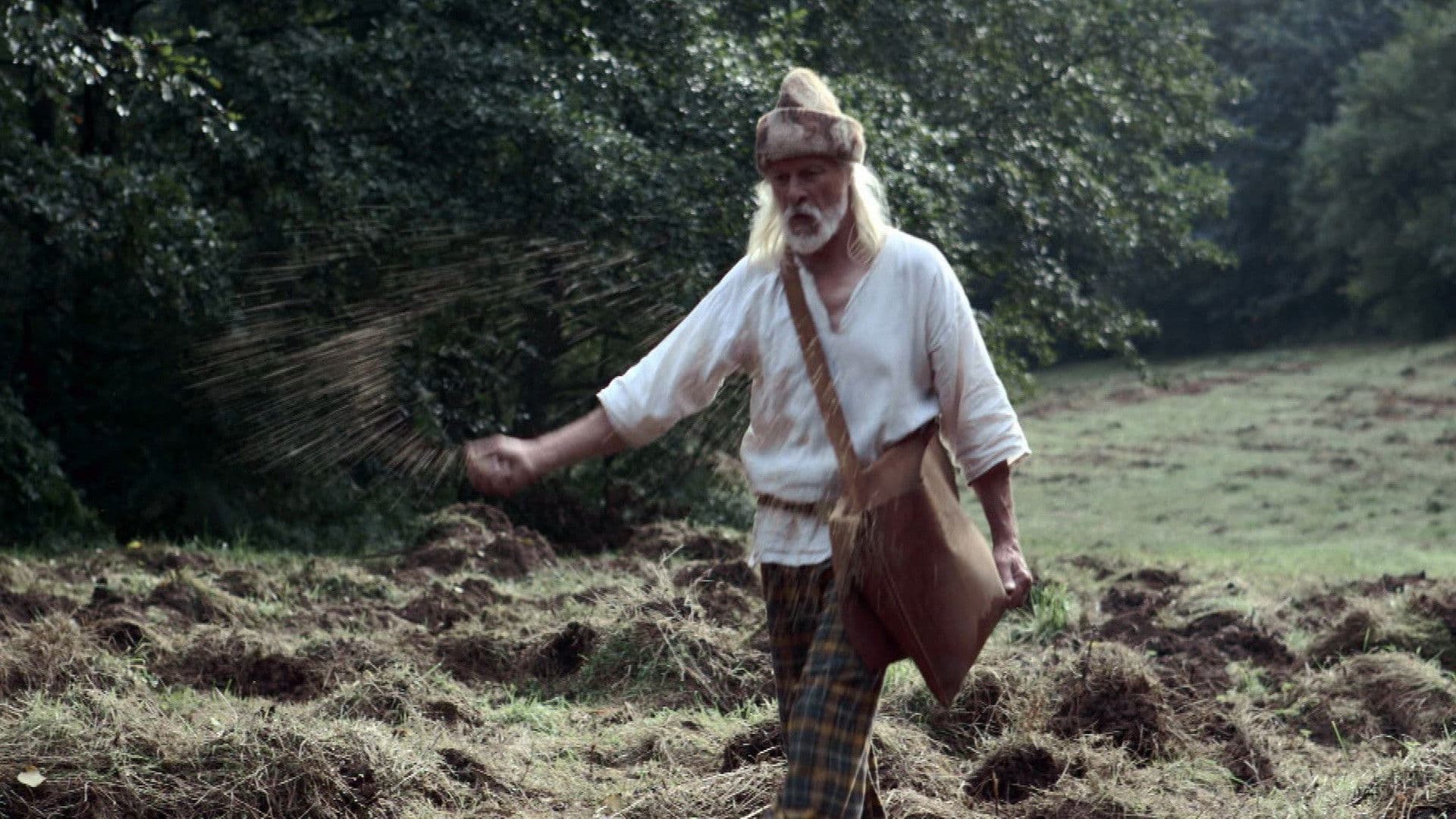 Le Vrai Visage des Gaulois