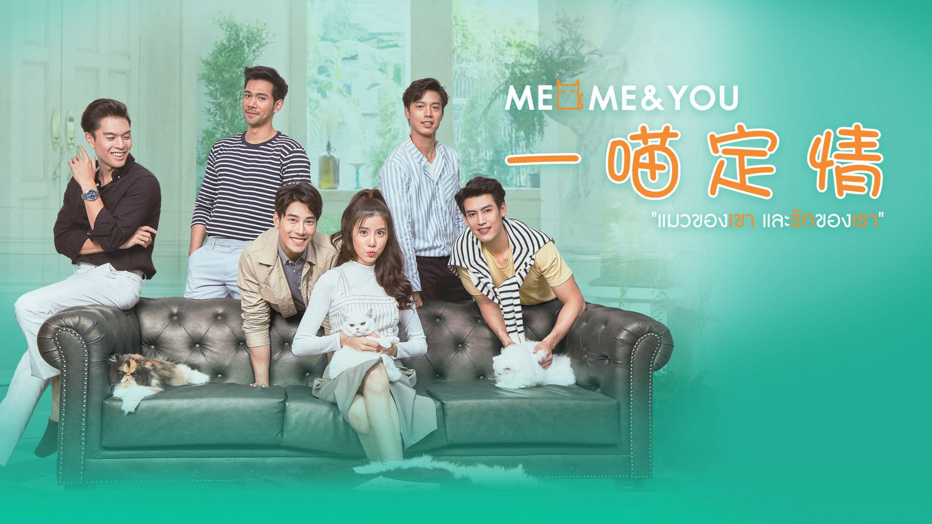 แมวของเขาและรักของเรา