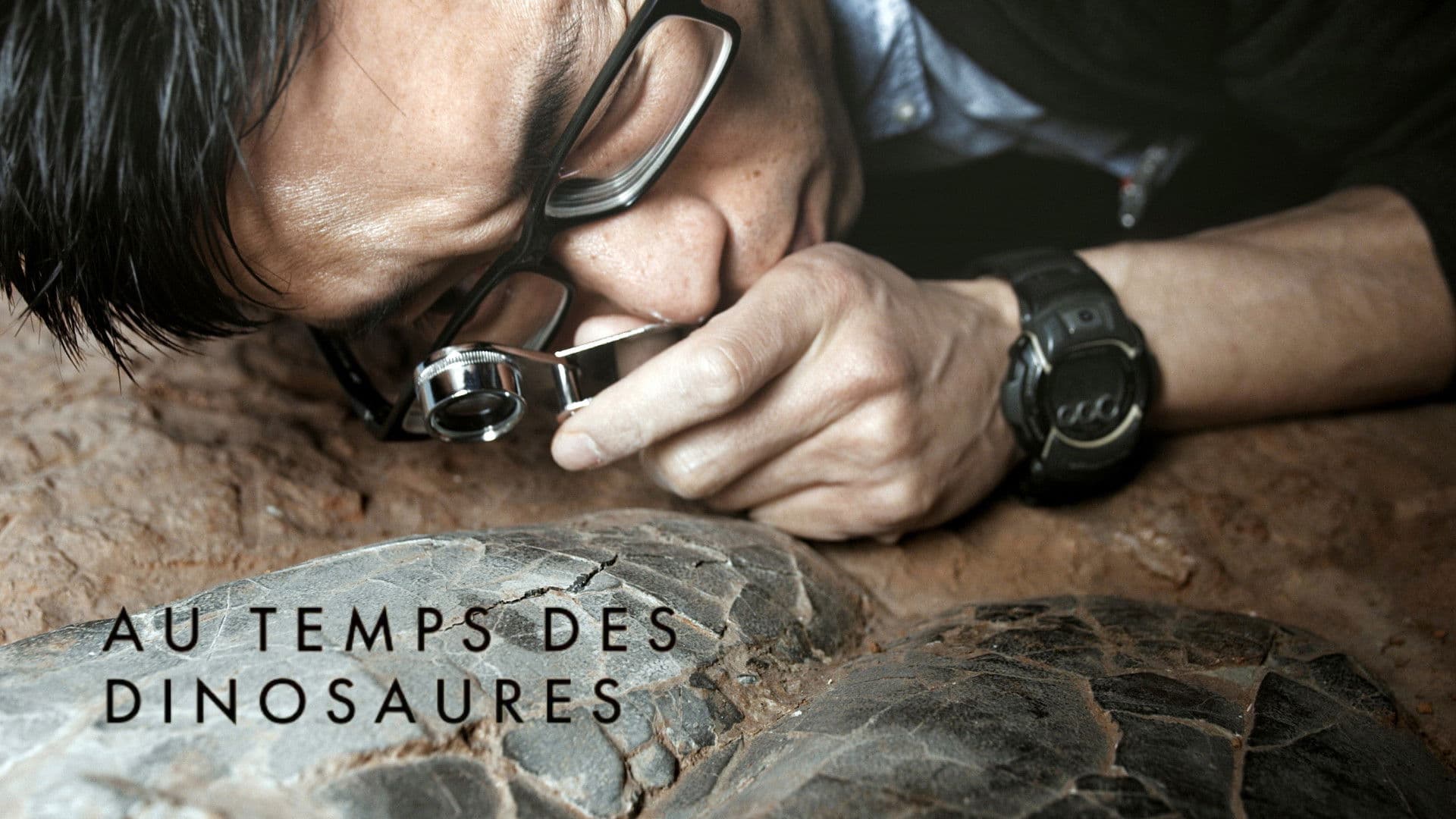 Au temps des dinosaures