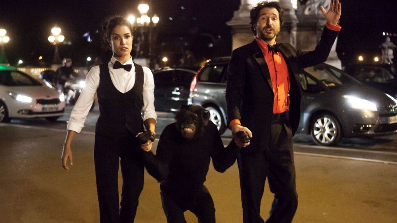 파리의 밤이 열리면