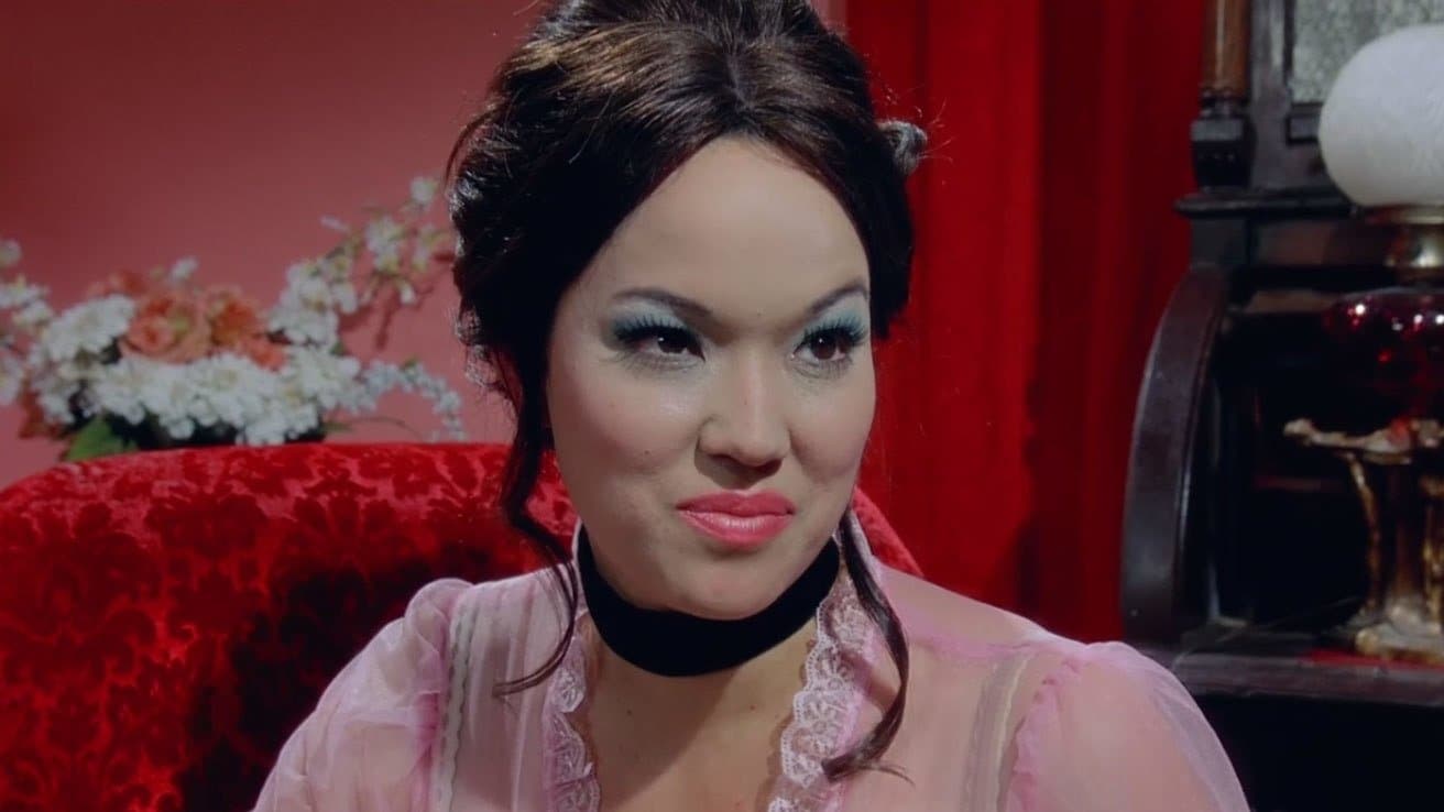 환상의 주부, 비바