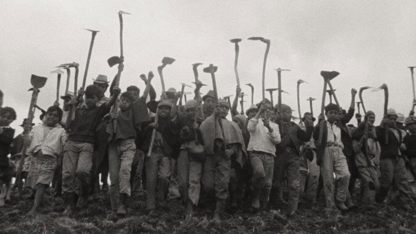 Nuestra voz de tierra, memoria y futuro