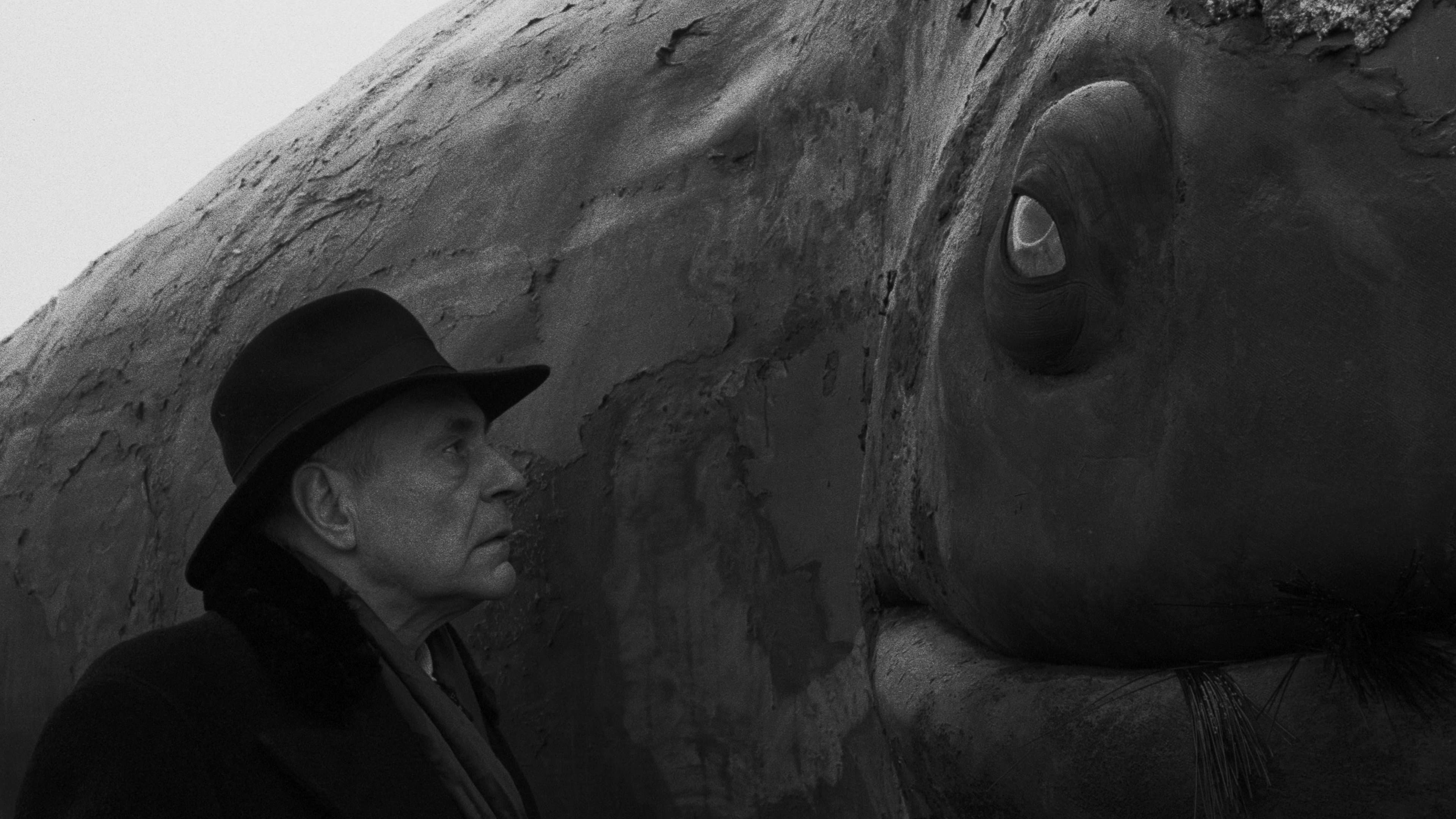 베크마이스터 하모니즈