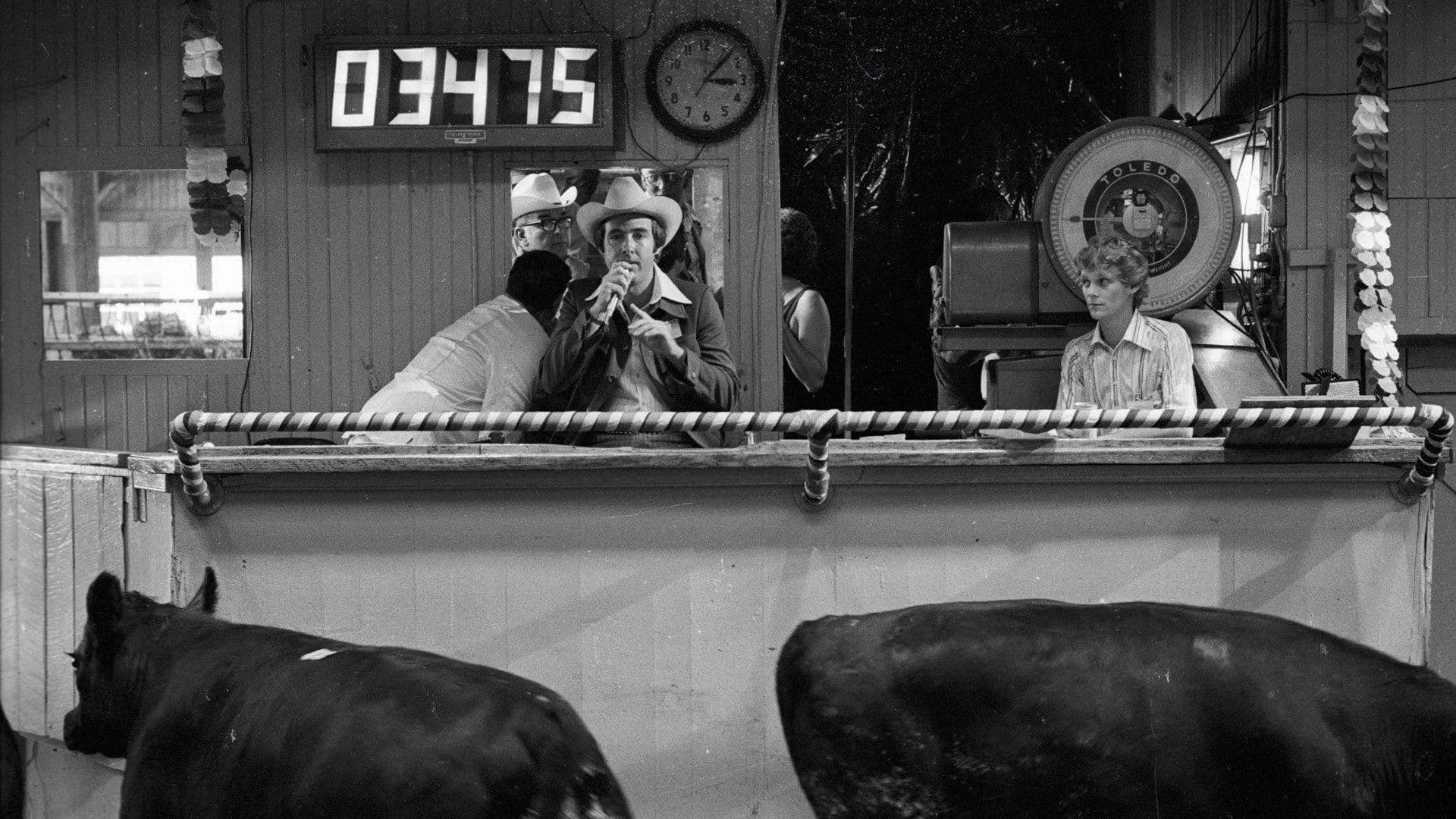 하우 머치 우드 우드 어 우드척 척