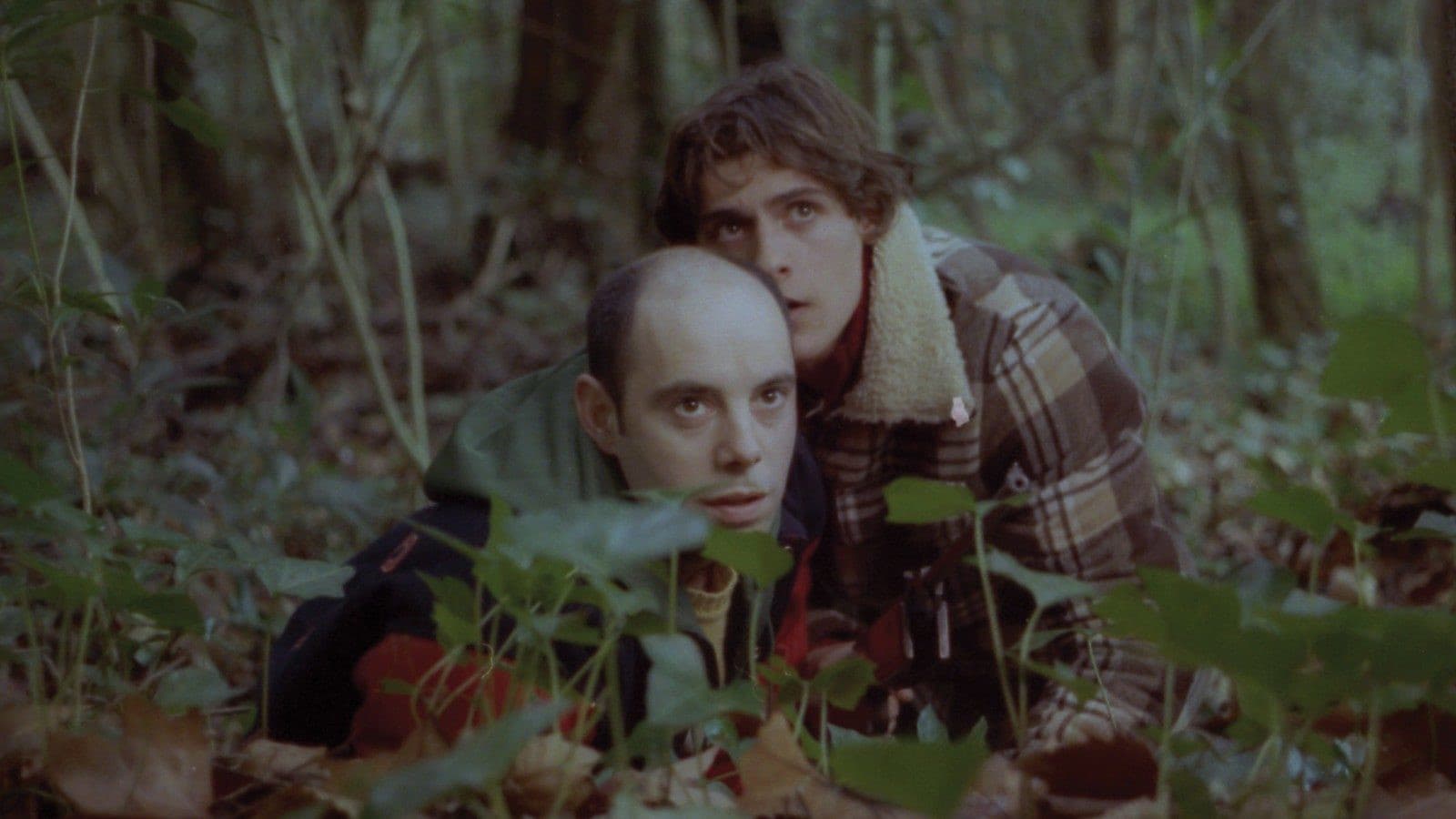 자신에 적합한 얼굴