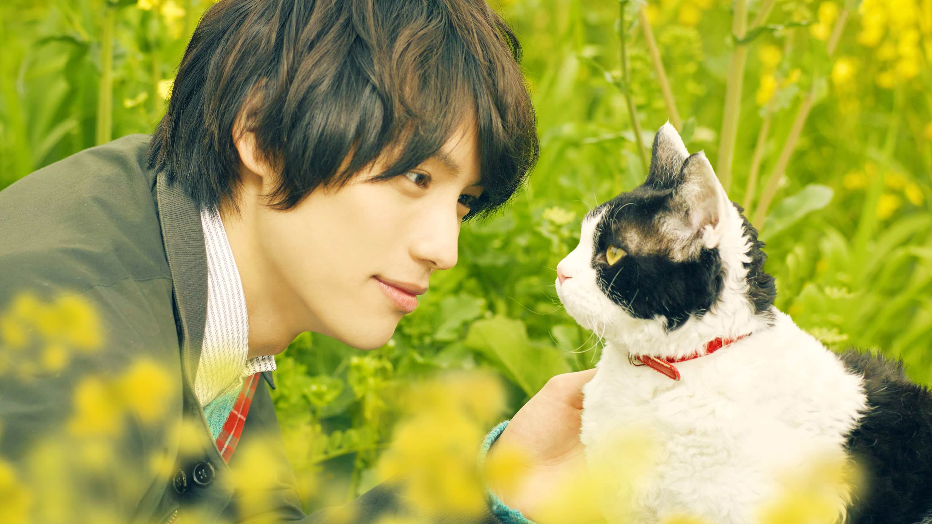 고양이 여행 리포트