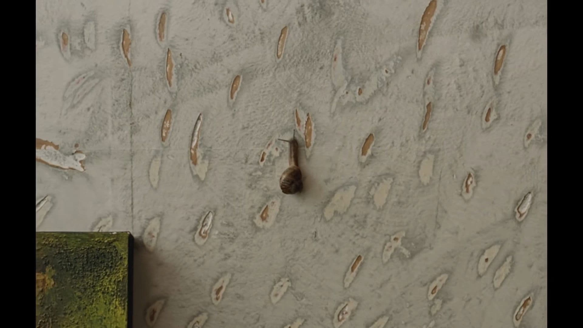 The Mark On The Wall