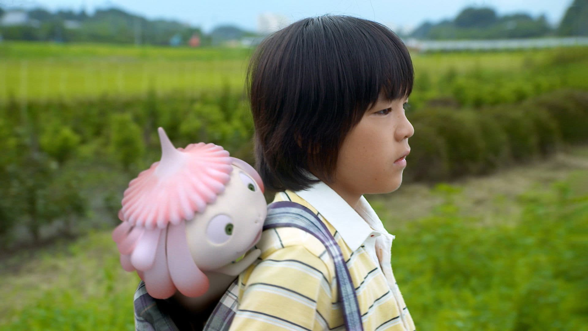 메메메의 해파리