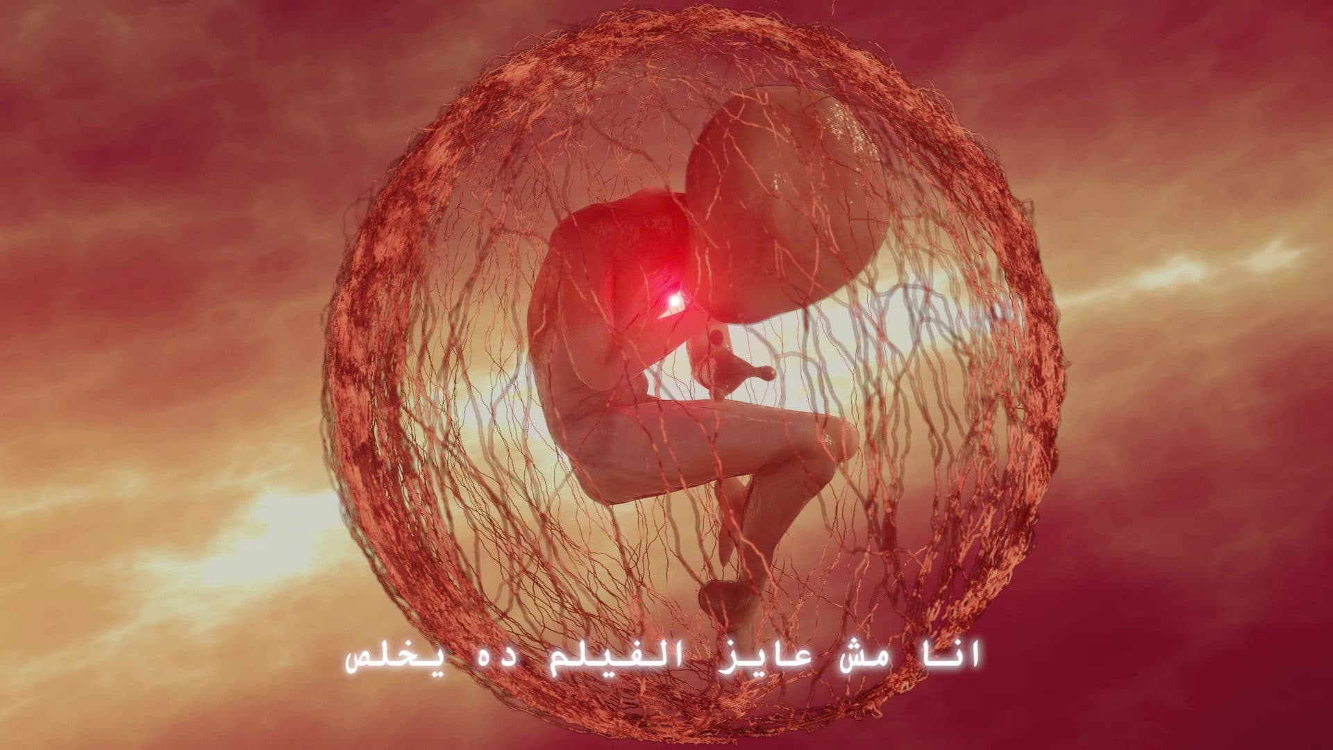 Spring Flowers of Distant Days