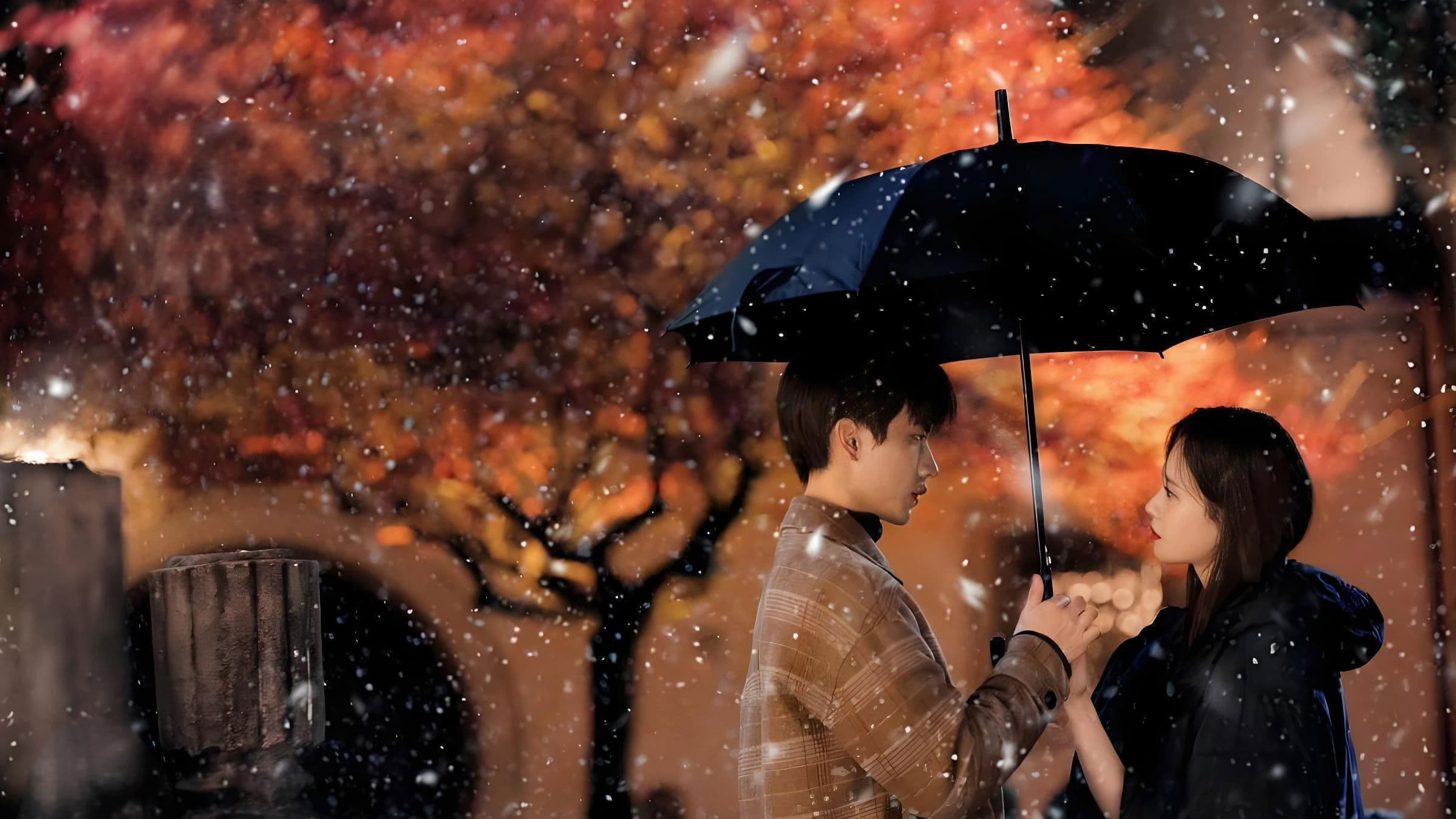 최식인간연화색 : 가장 세속적인 불꽃놀이의 색