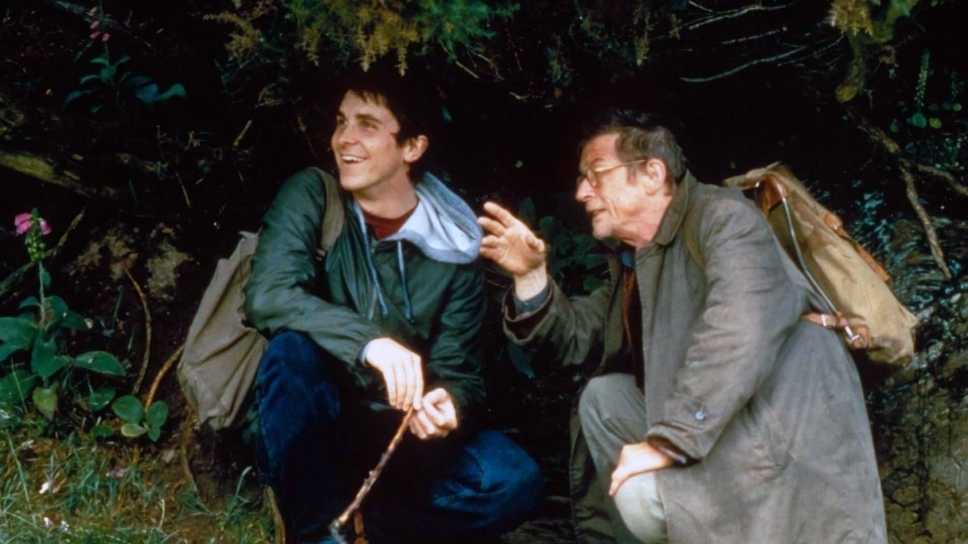 올 더 리틀 애니멀