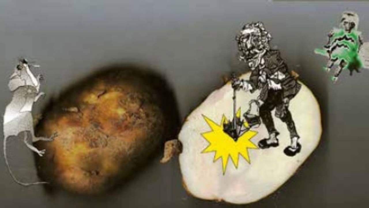 Mirachos, pelytės ir jų draugo katino trys grūdai