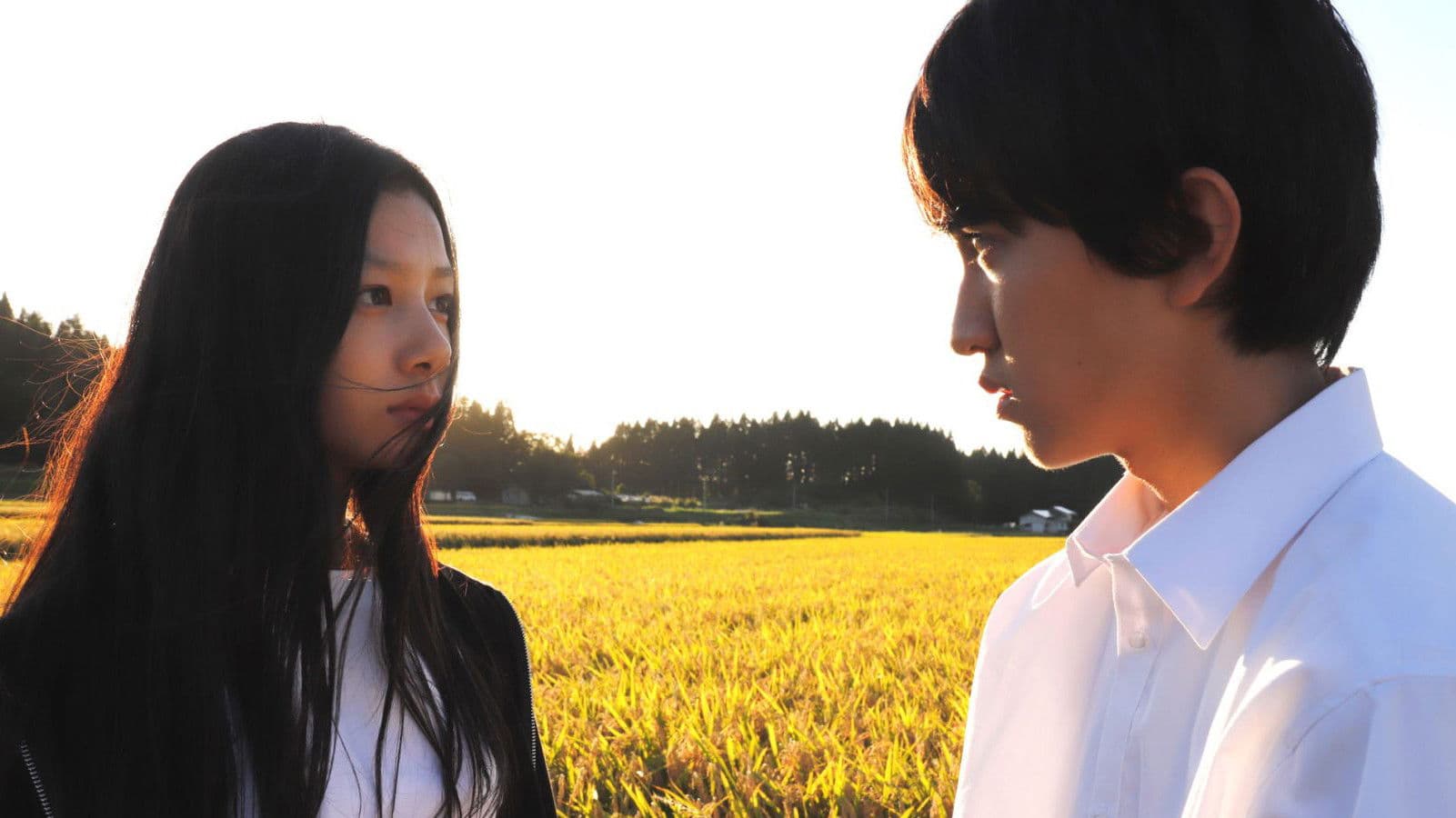 팔로우 더 라이트