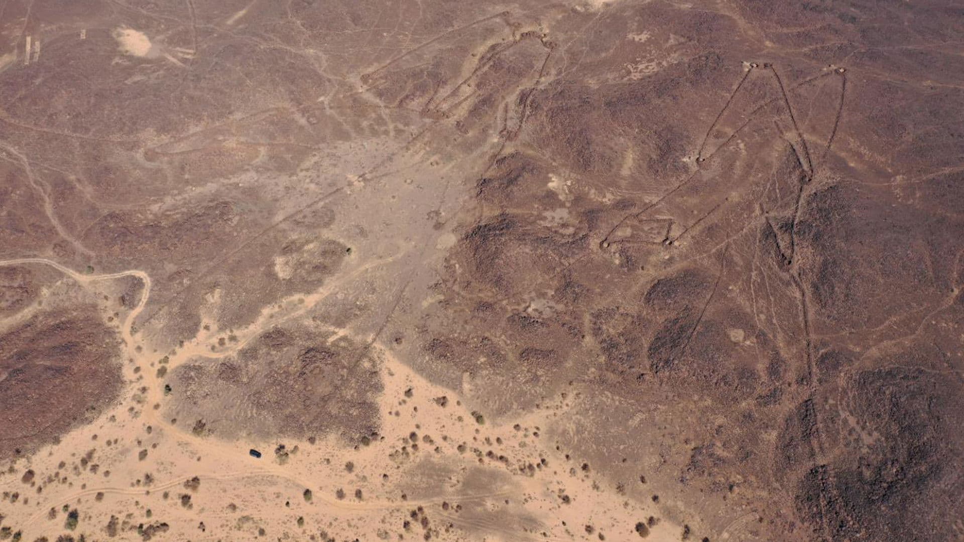 Les mystères des cerfs-volants du désert