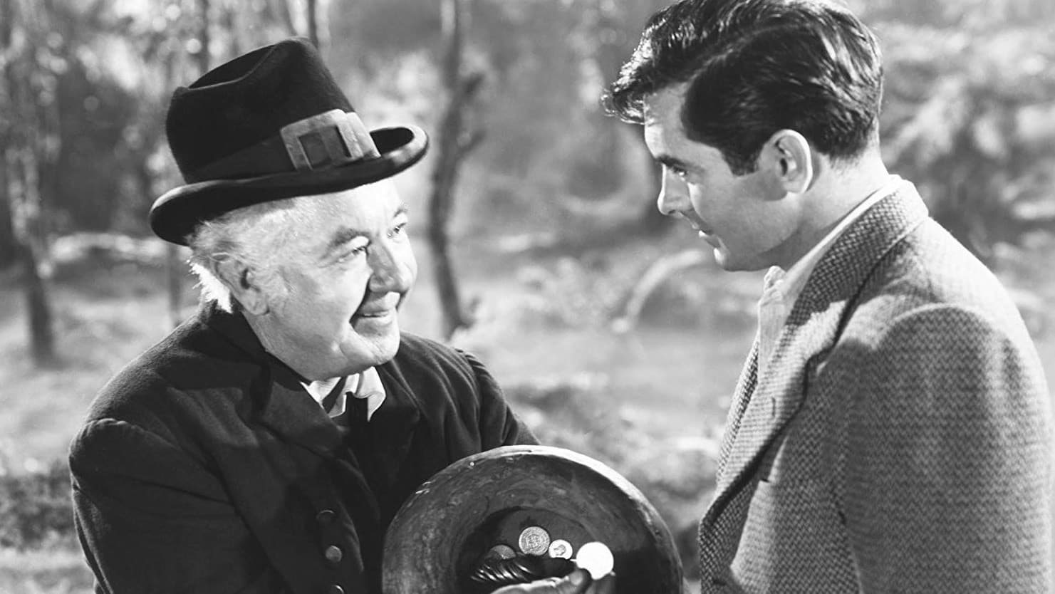 아일랜드의 운수