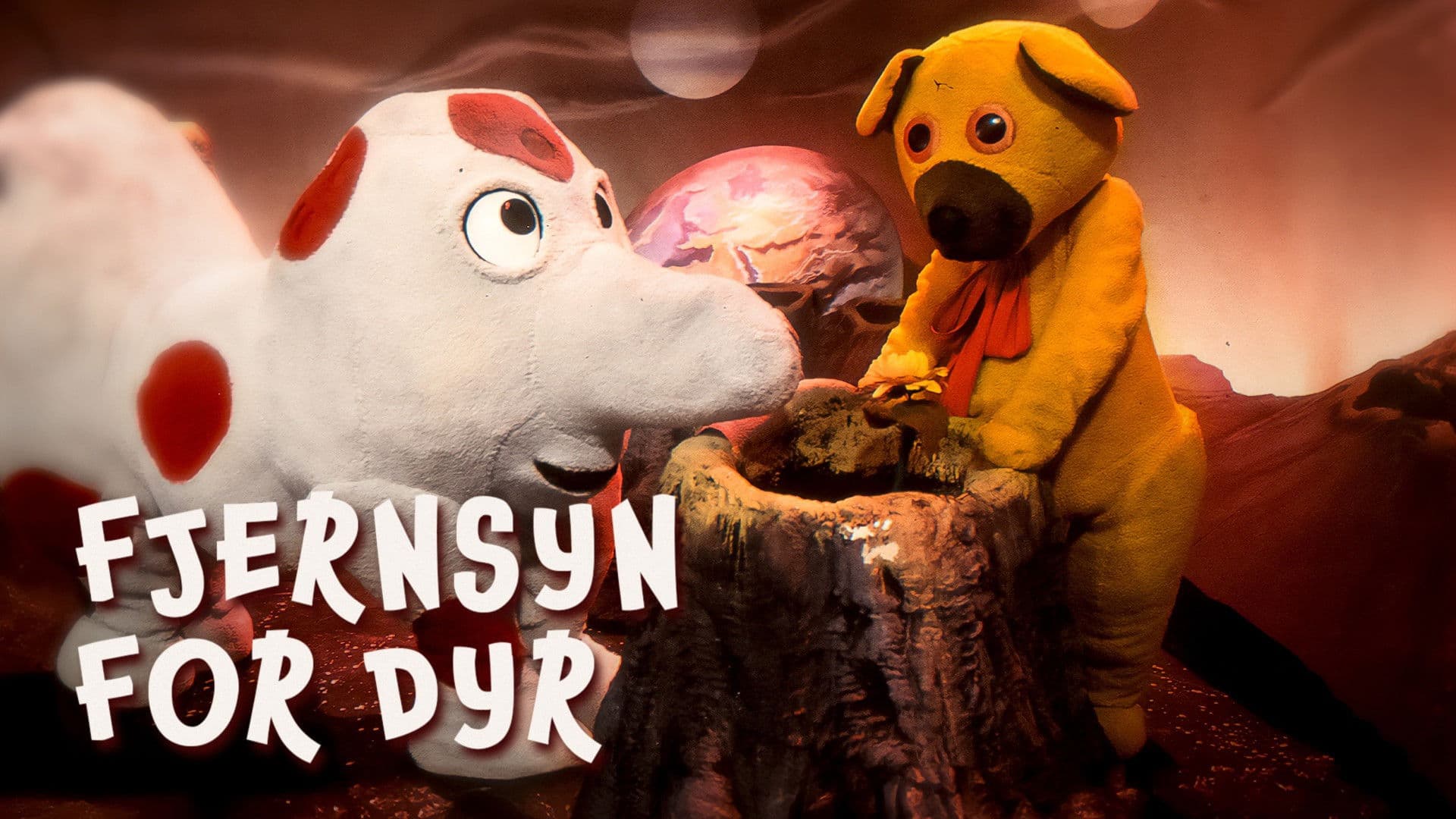 Fjernsyn for dyr - Bamse på planeten