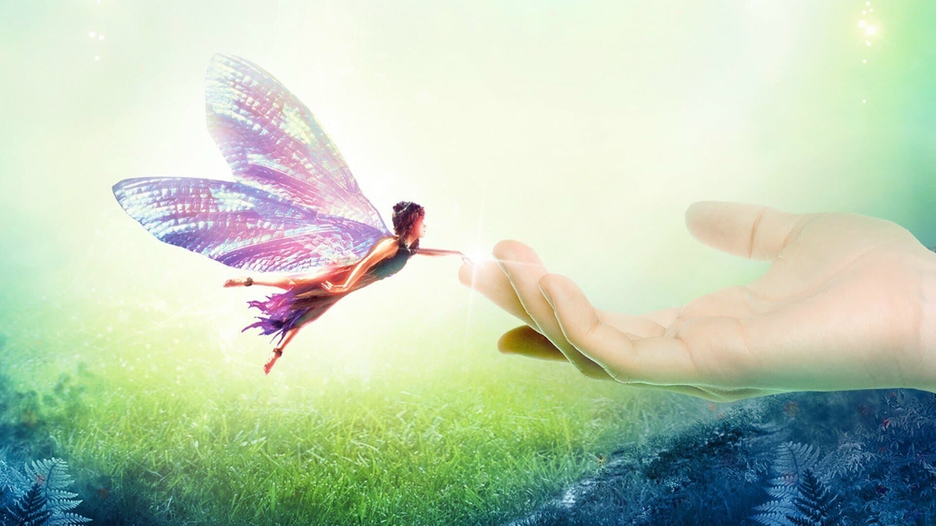 페어리 테일 - 트루 스토리