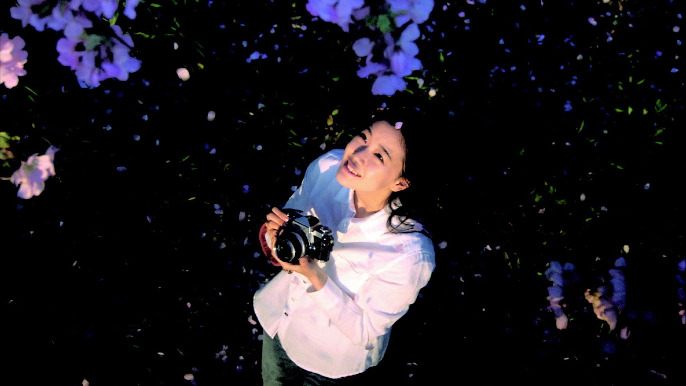 아오이 유우의 편지