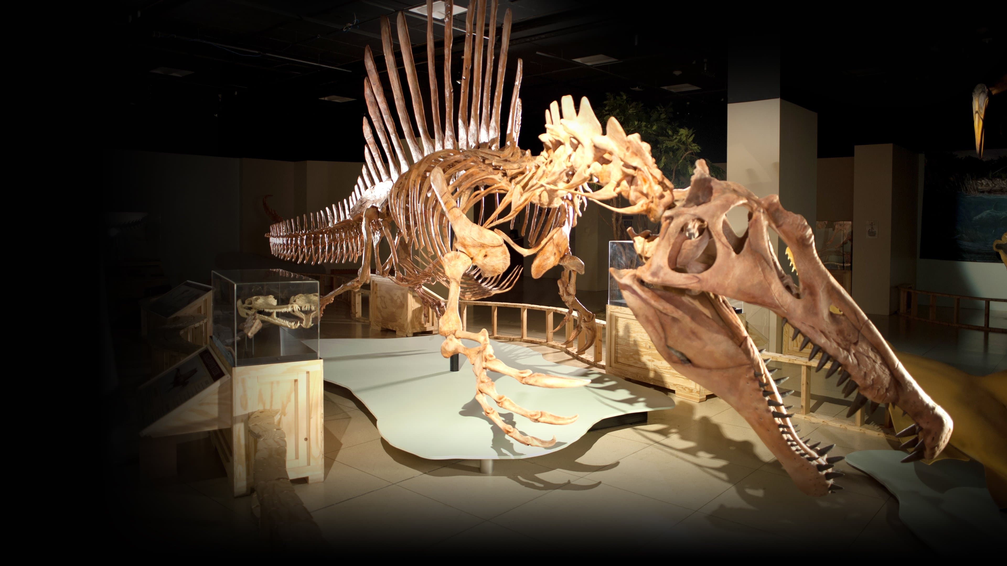 Top 10 세계의 거대동물