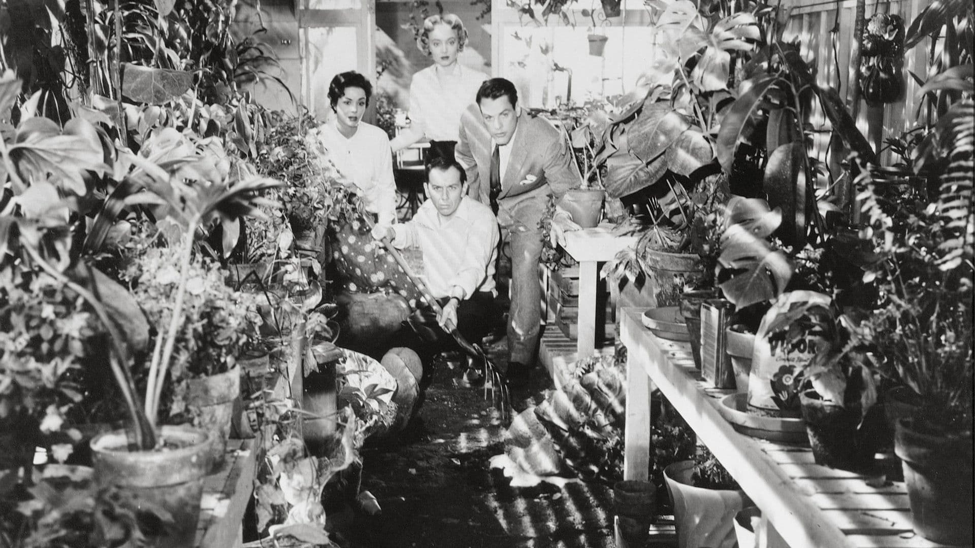 신체 강탈자의 침입