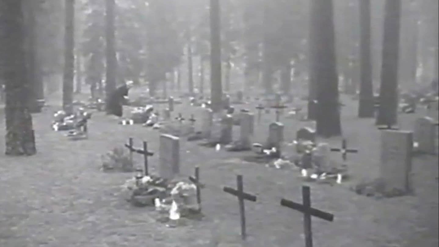 Varför måste vi dö?