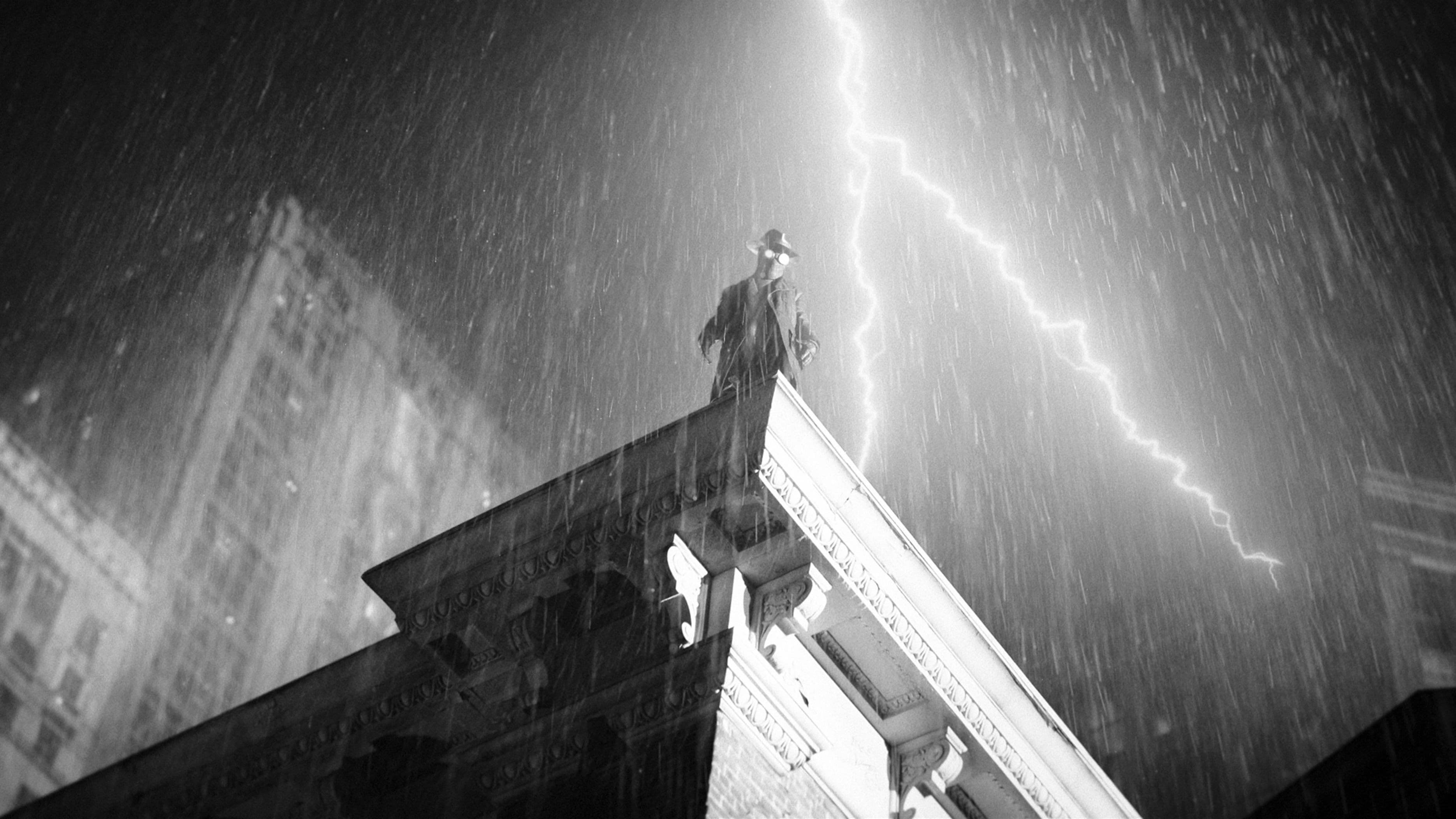 스파이더 누아르