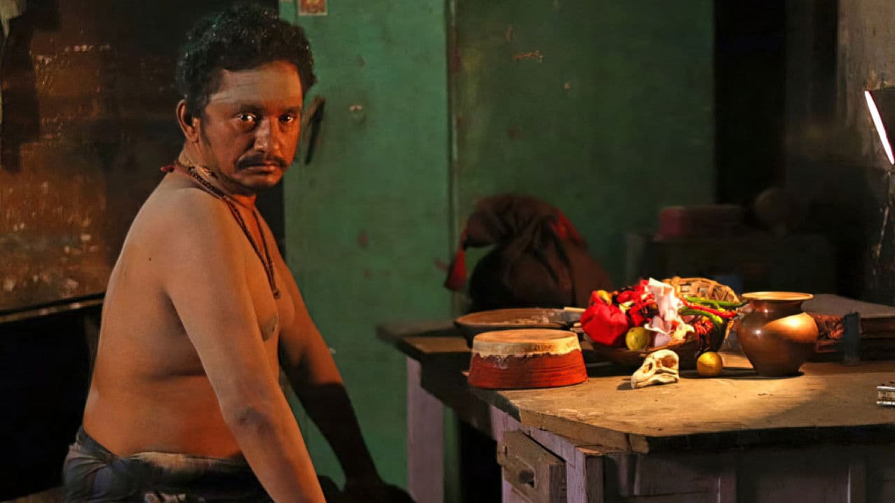 बारडोवी