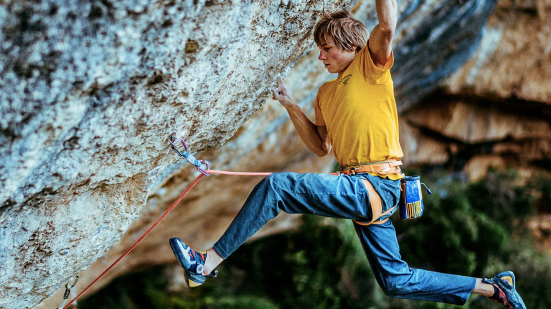 레드 포인트: 비블리오그래피