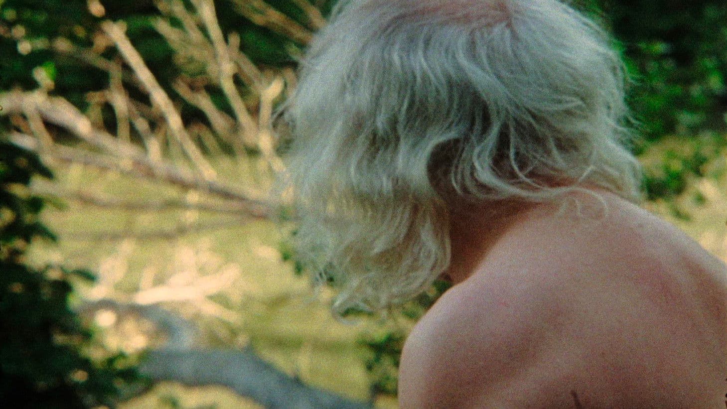 La flor en el olvido