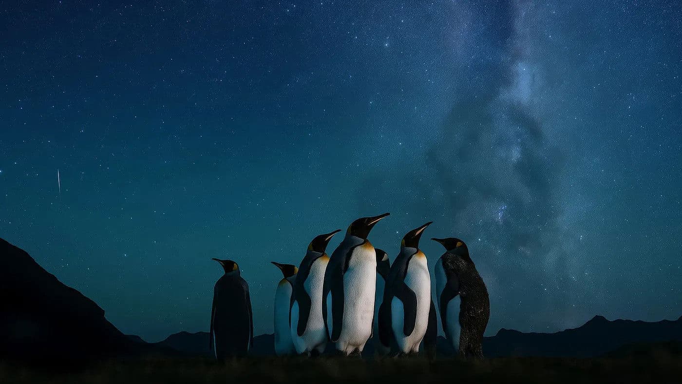Le peuple des tempêtes
