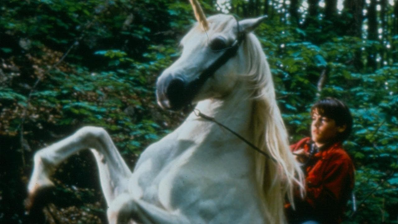 니코 더 유니콘